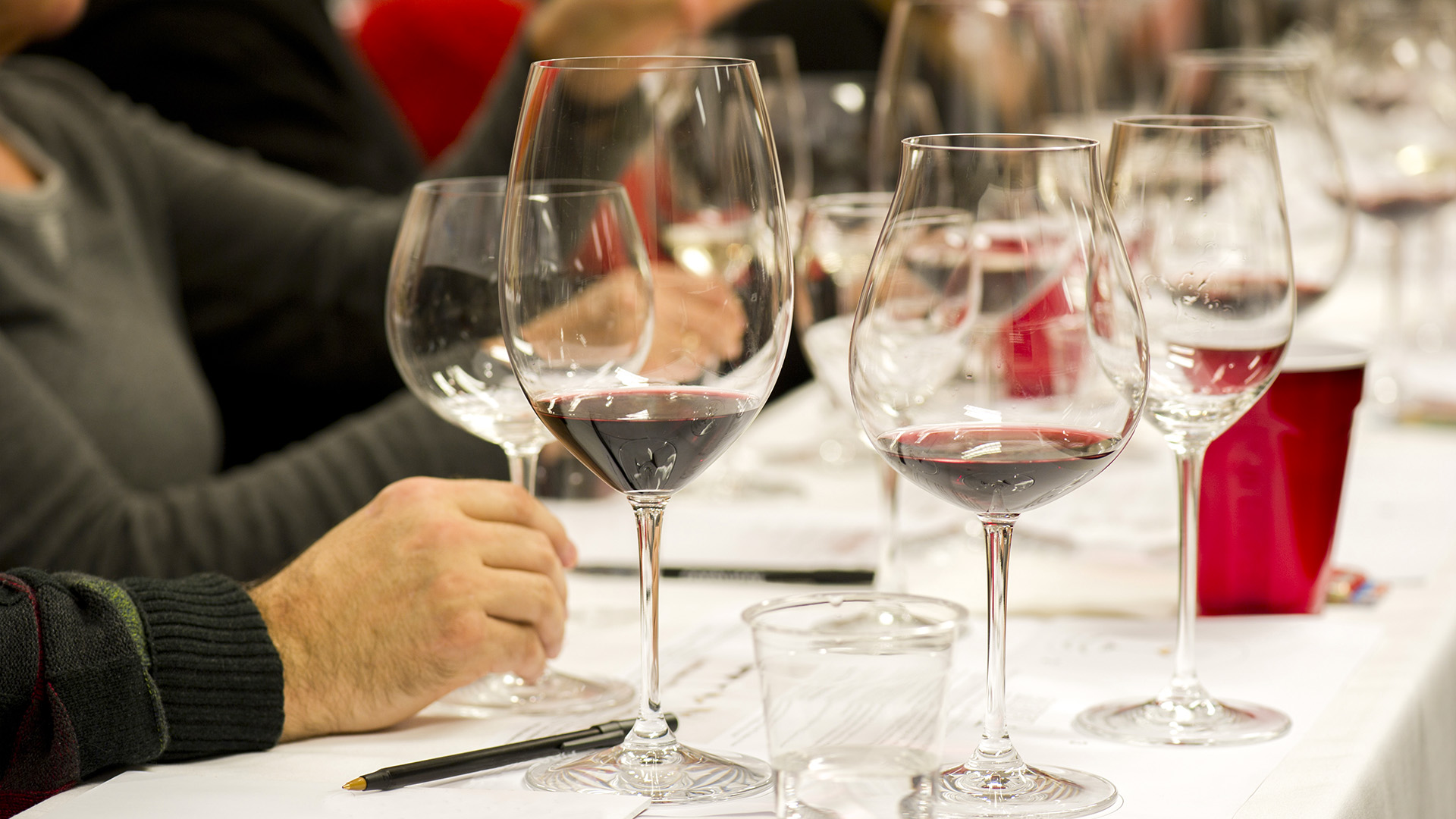 Weinseminar fĂĽr Kenner Wien Weinseminar fĂĽr Kenner Wien