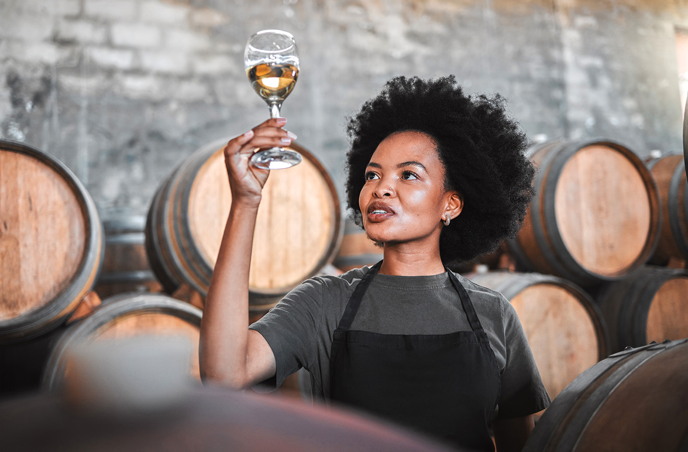 Weindegustation in Yverdon (1,5 Std.) Weindegustation in Yverdon (1,5 Std.)