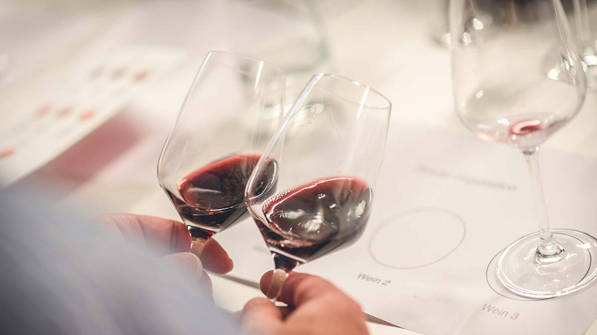 Weinseminar Einsteiger für 2 Thun Weinseminar Einsteiger für 2 Thun