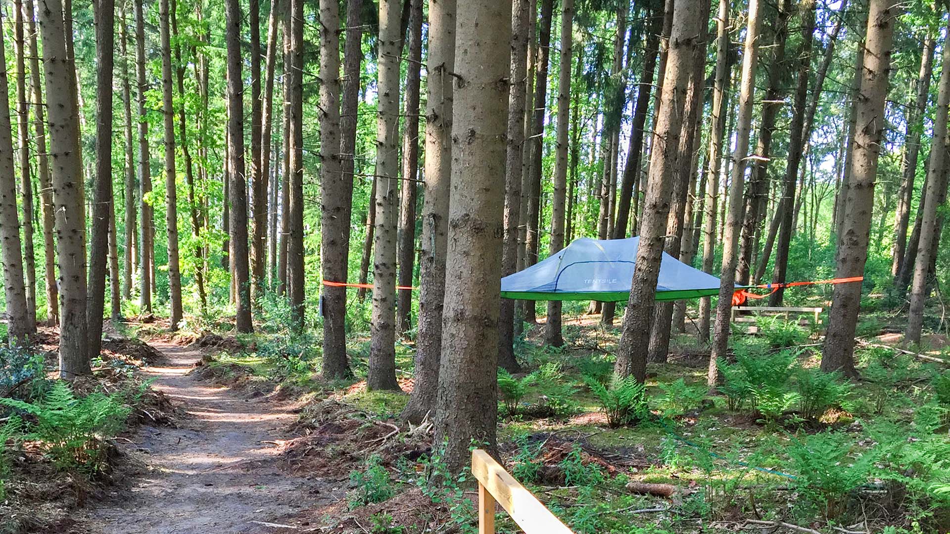 Außergewöhnlich Übernachten im Baumzelt bei Oldenburg für 2 in Barßel