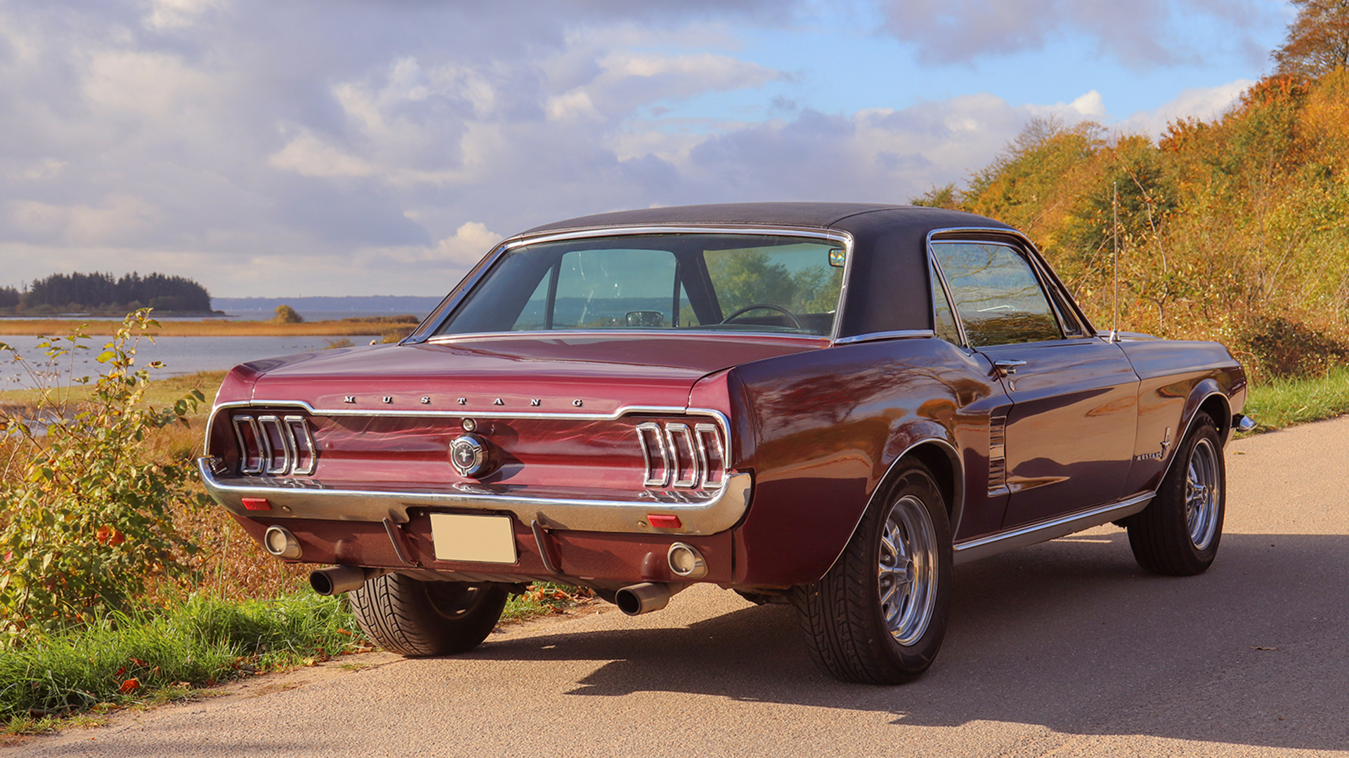 Ford Mustang Oldtimer fahren Wees (4 Std. )