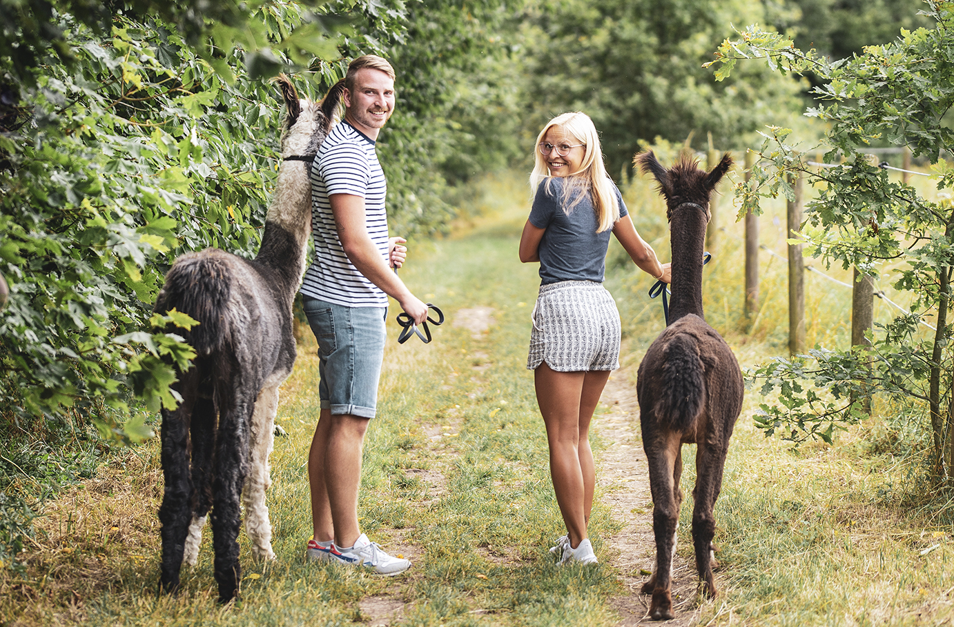 Alpaka Wanderung Münnerstadt Alpaka Wanderung Münnerstadt