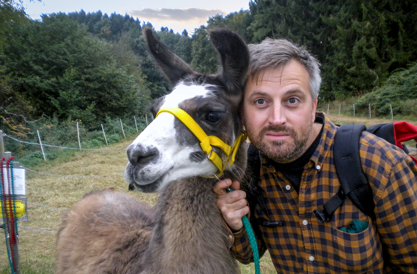 Lama Wanderung Darmstadt (1,5 Std.)