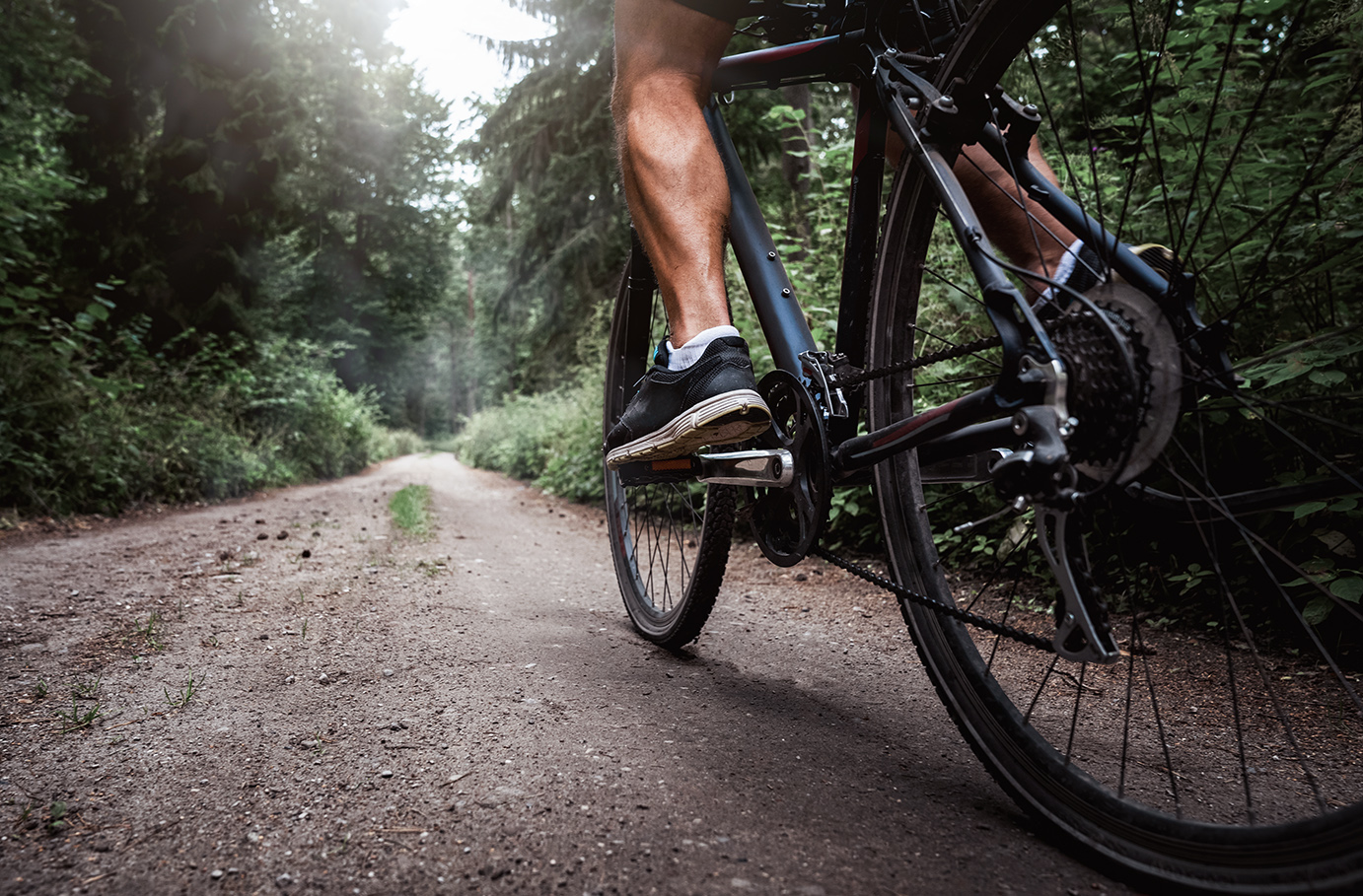 Mountainbike Kurs in ohne Ortsangabe