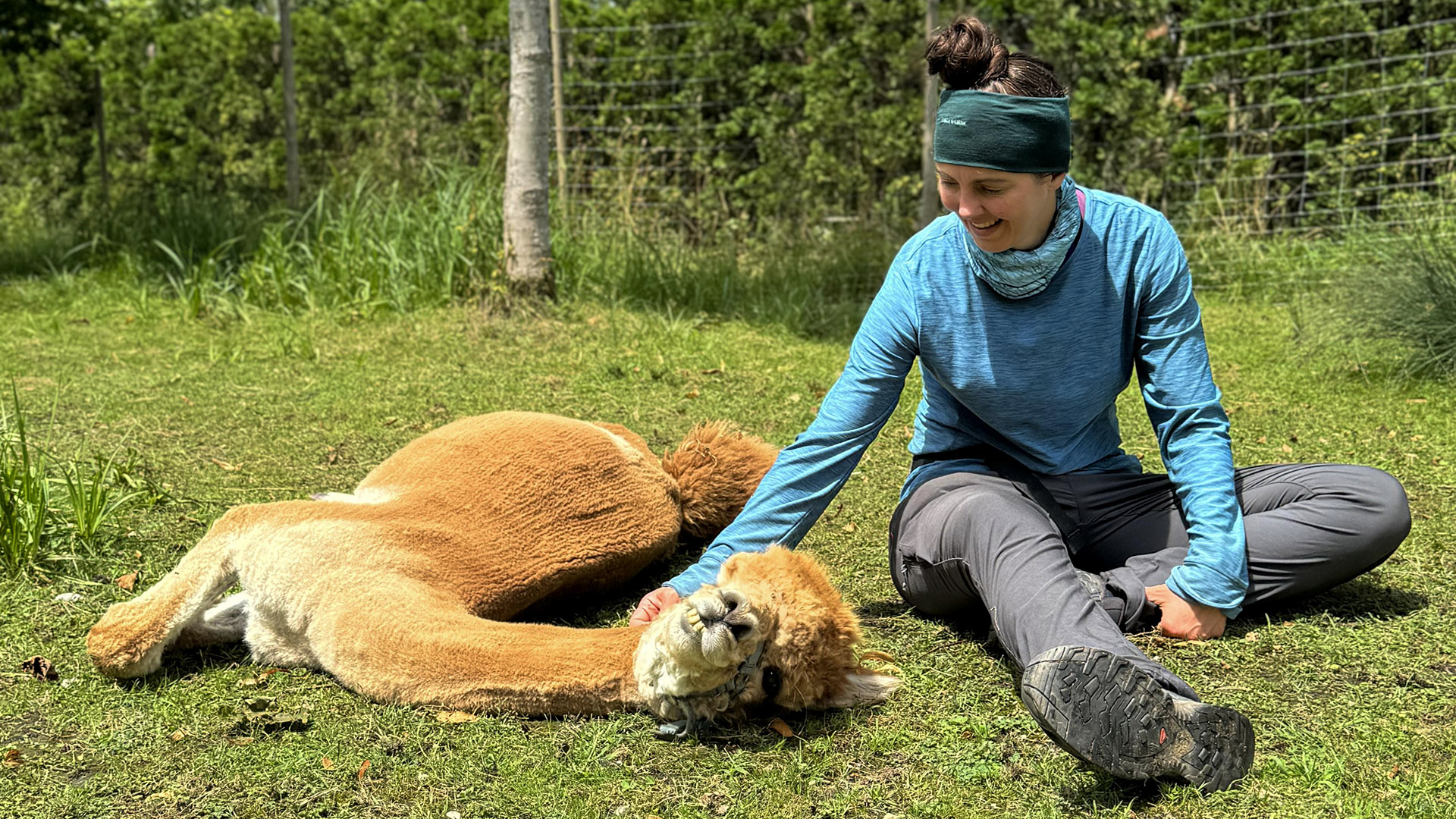 Alpaka Auszeit Übersee – Jetzt erleben!