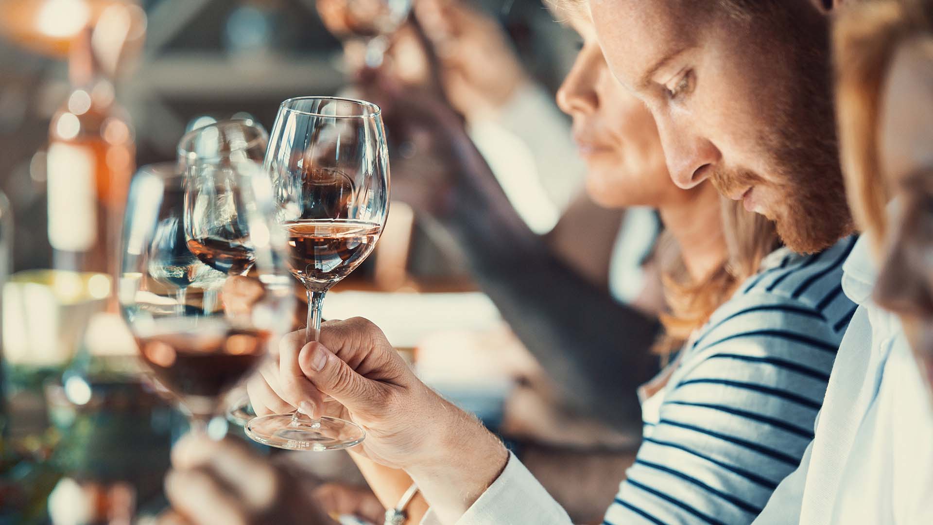 Weinseminar für Einsteiger Hamburg