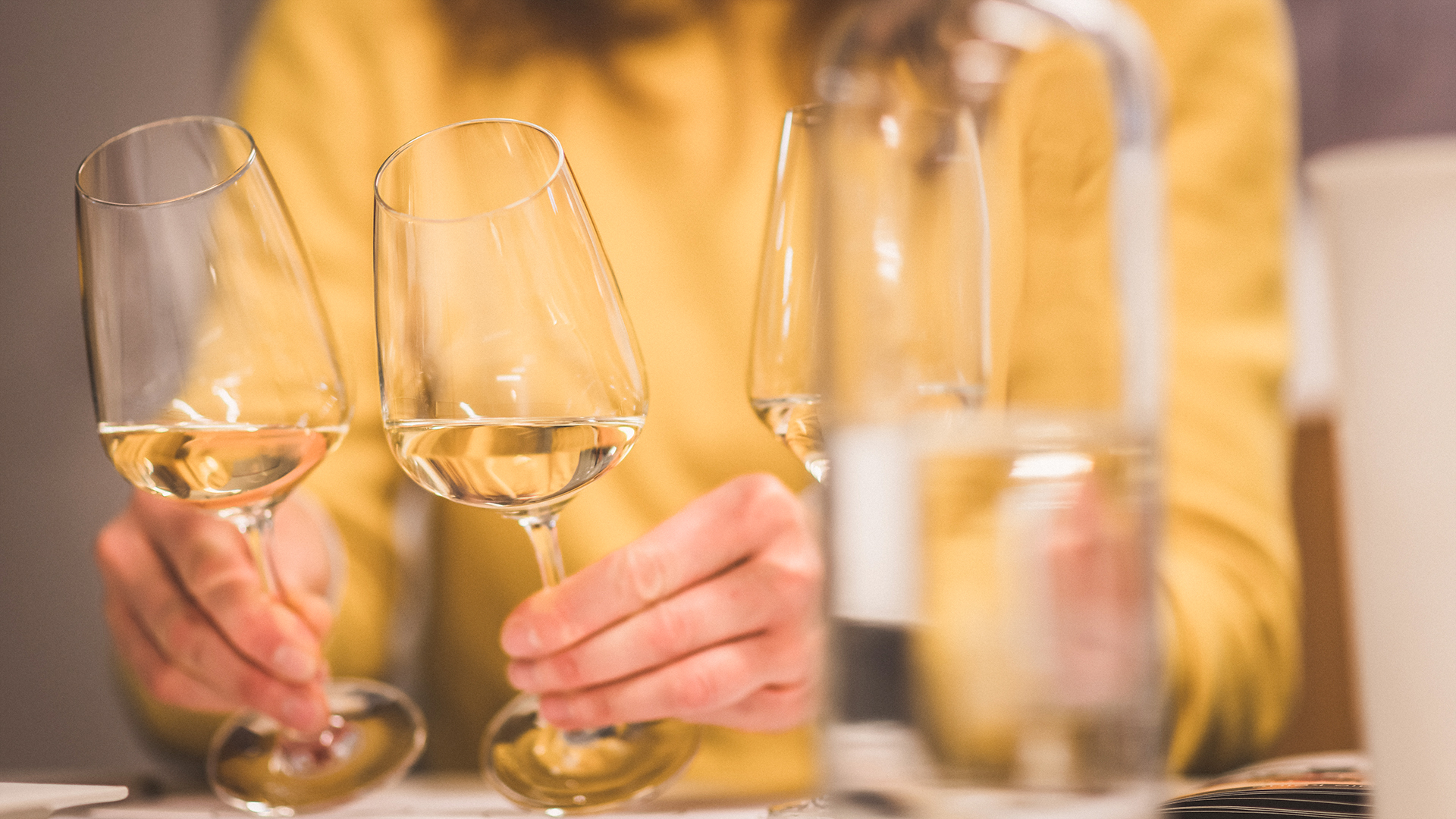 Weinseminar für Einsteiger München Weinseminar für Einsteiger München