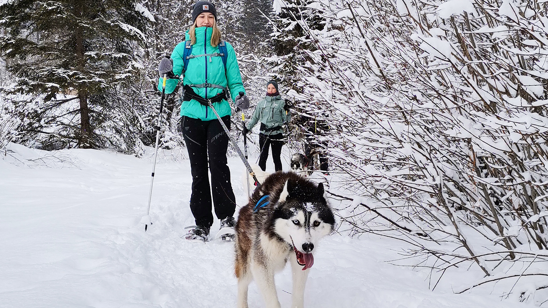 Husky Schneeschuhtrekking Hohentauern für 2 in Hohentauern Steiermark