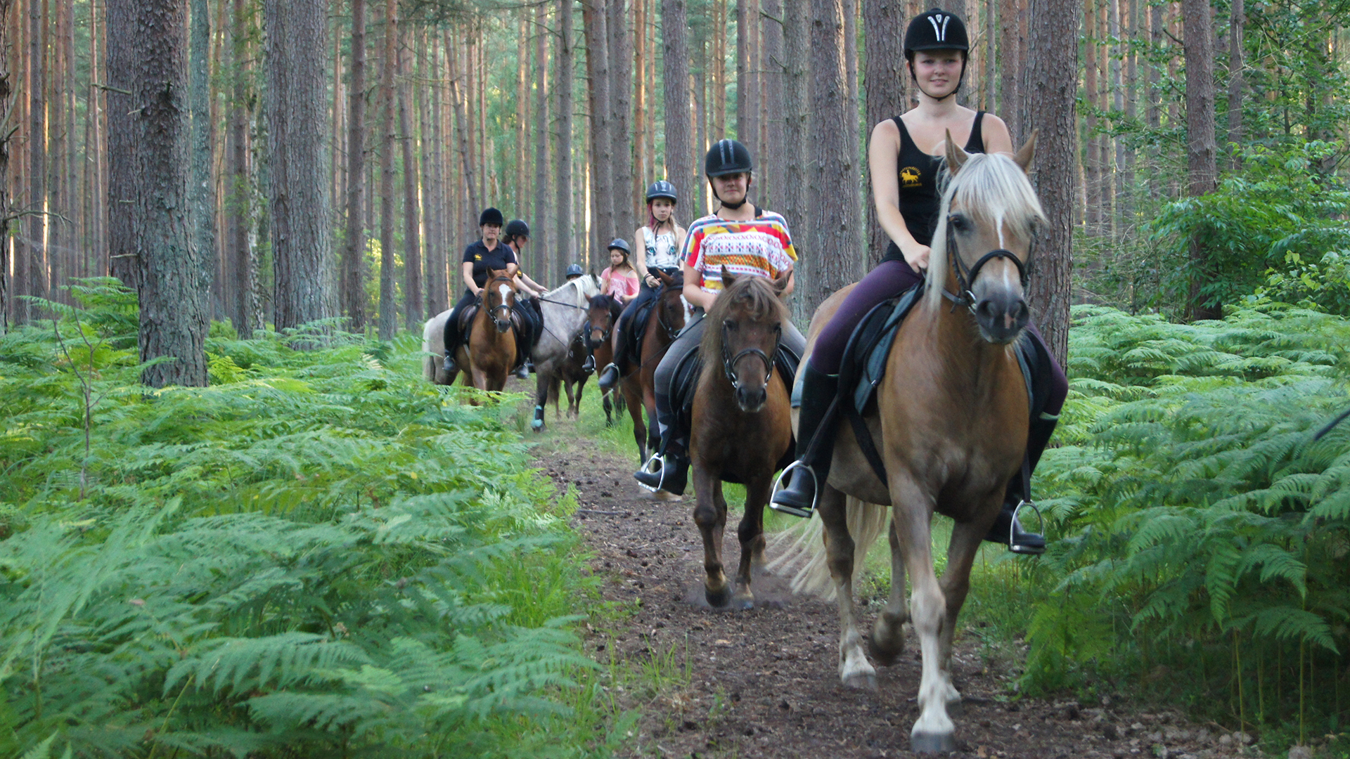 Ausritt für Anfänger in Ribnitz-Damgarten