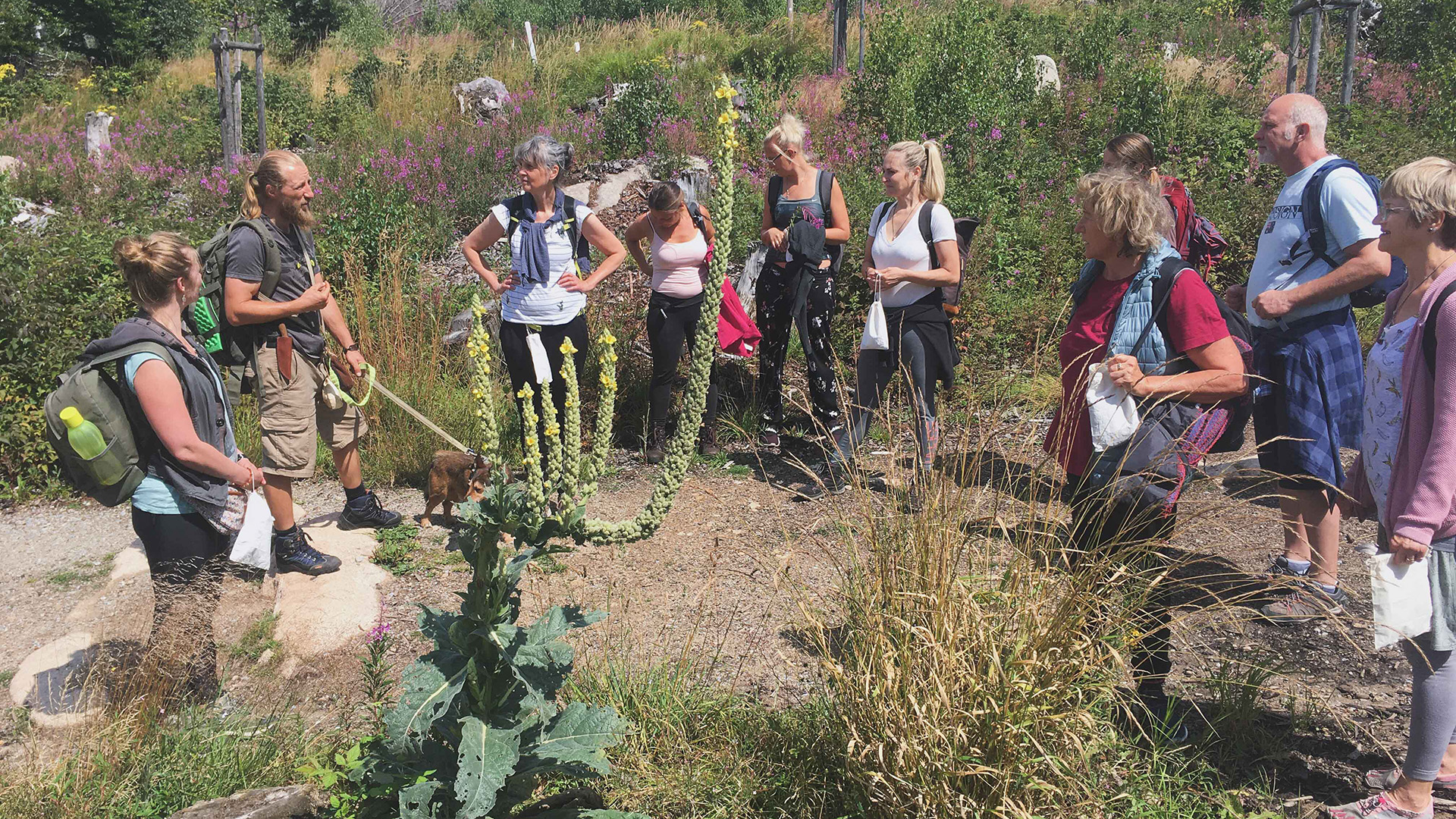 Survival-Tag mit Kakaozeremonie Schierke Survival-Tag mit Kakaozeremonie Schierke