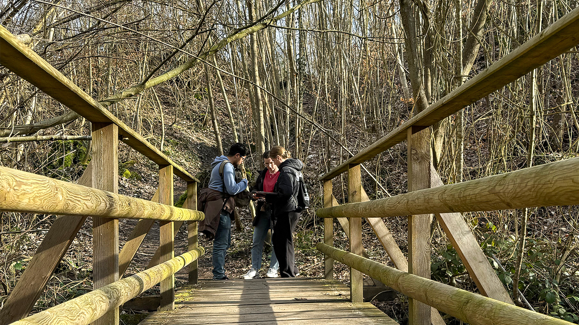 Outdoor Escape Gruppe - Fortgeschritten Fluch des Sonnenkönigs Sternenfels