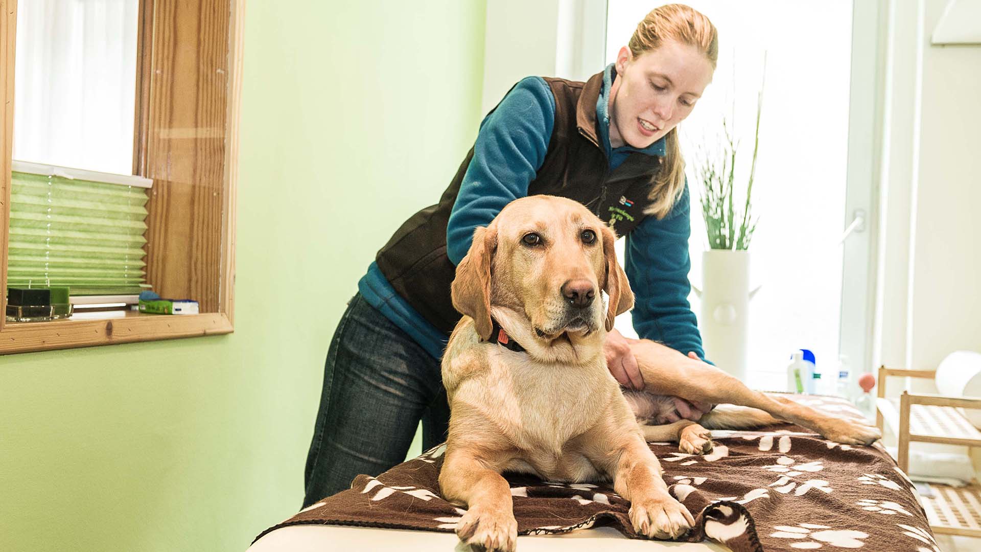 4 Tag(e) Urlaub mit Hund Bad Gastein inkl. Frühstück Salzburg ✓