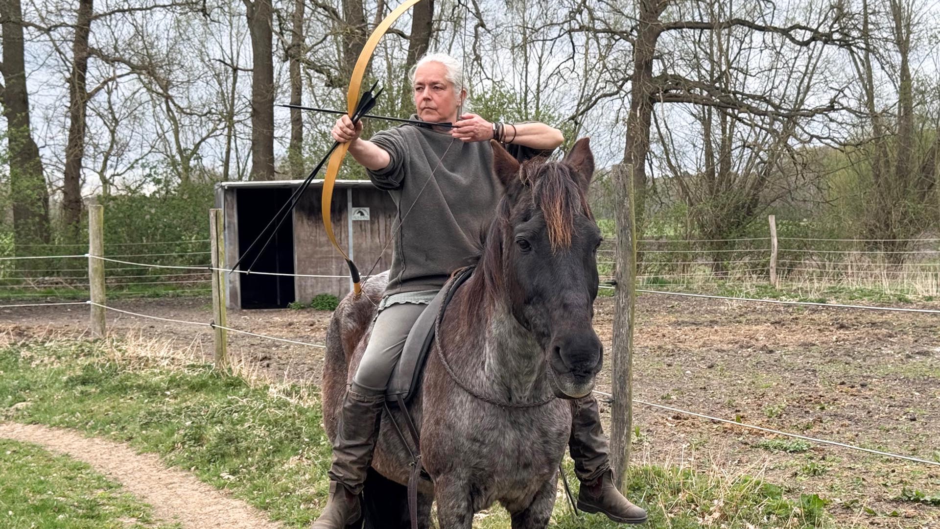 Berittenes Bogenschießen Neustadt am Rübenberge – Bogenschießen zu Pferd: Dein Natur-Abenteuer!