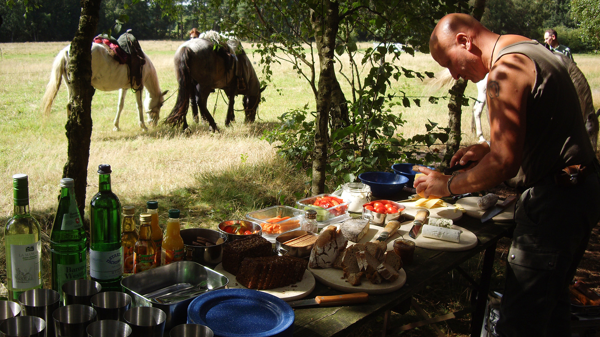 Wanderreiten Neustadt am Rübenberge – Wanderreiten im Naturparadies bei Neustadt erleben Wanderreiten Neustadt am Rübenberge – Wanderreiten im Naturparadies bei Neustadt erleben