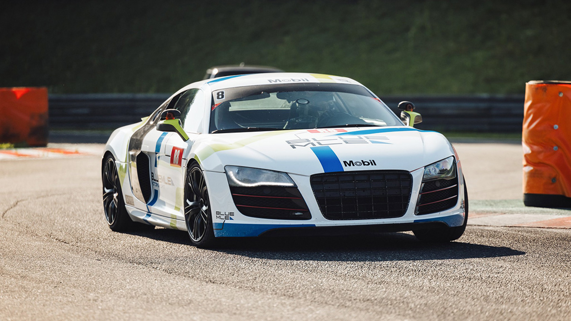 Audi R8 V10 Rennstreckentraining Nürburgring (10 Rdn.)