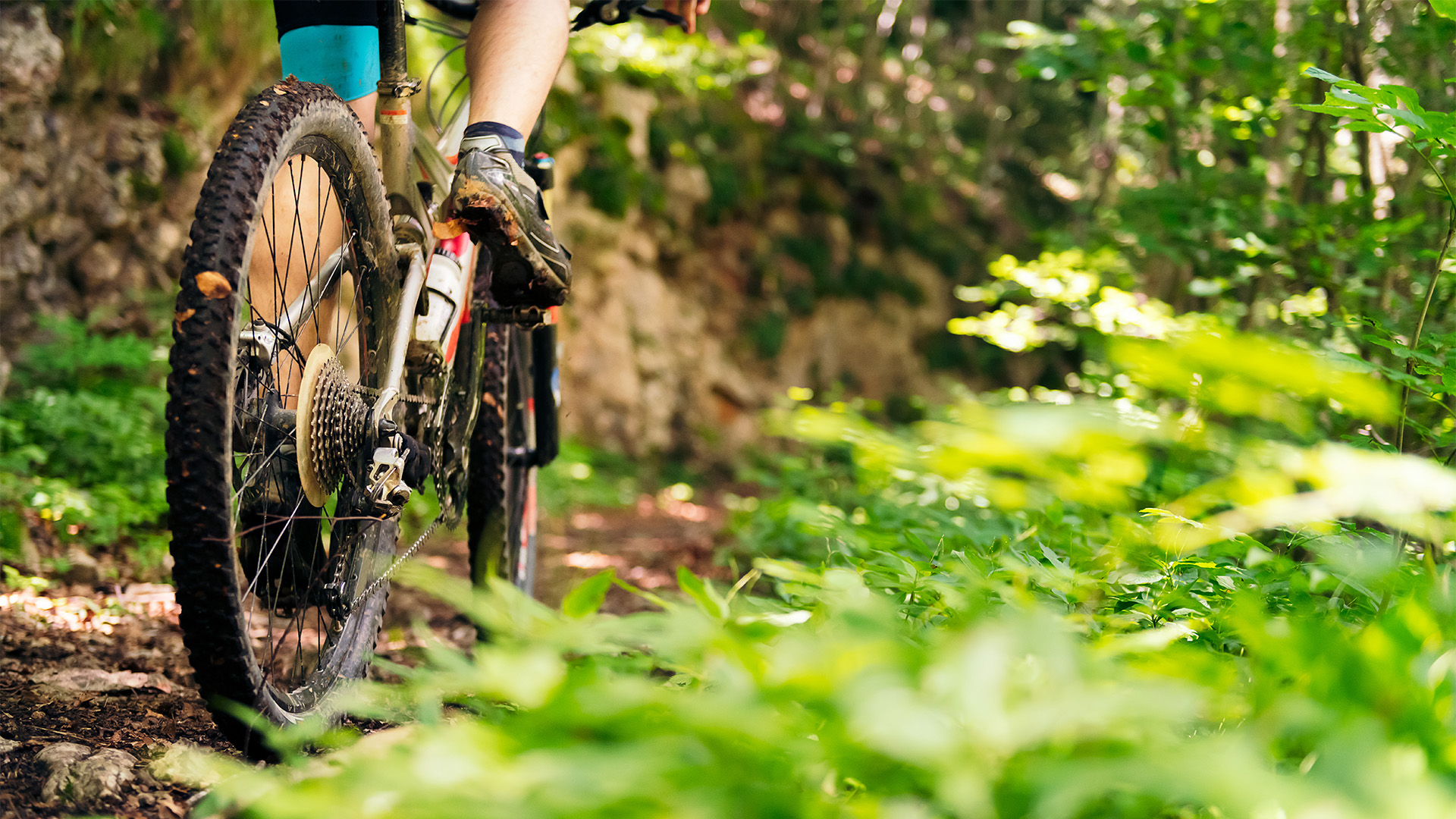 Radsport-Touren und -Kurse