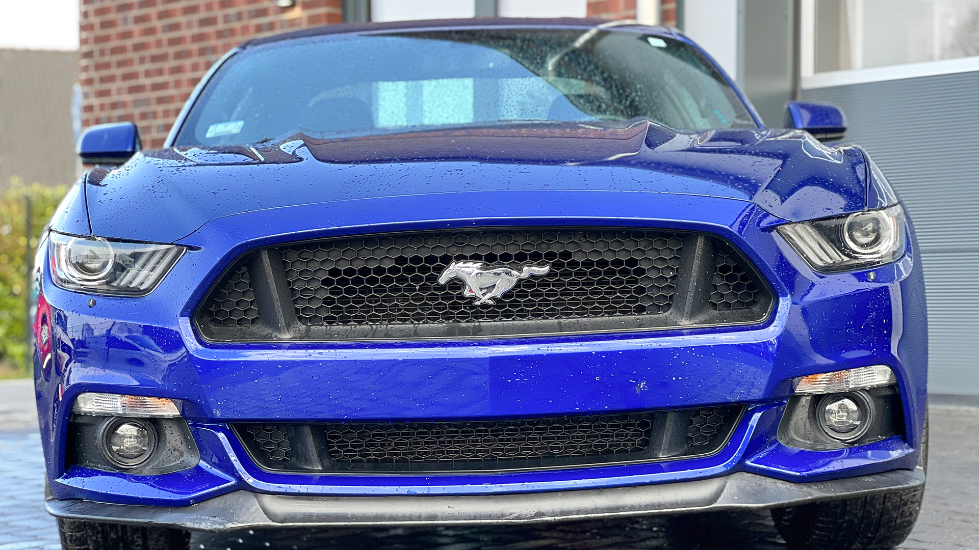 Ford Mustang fahren Wismar (7 Std.) in Barnekow