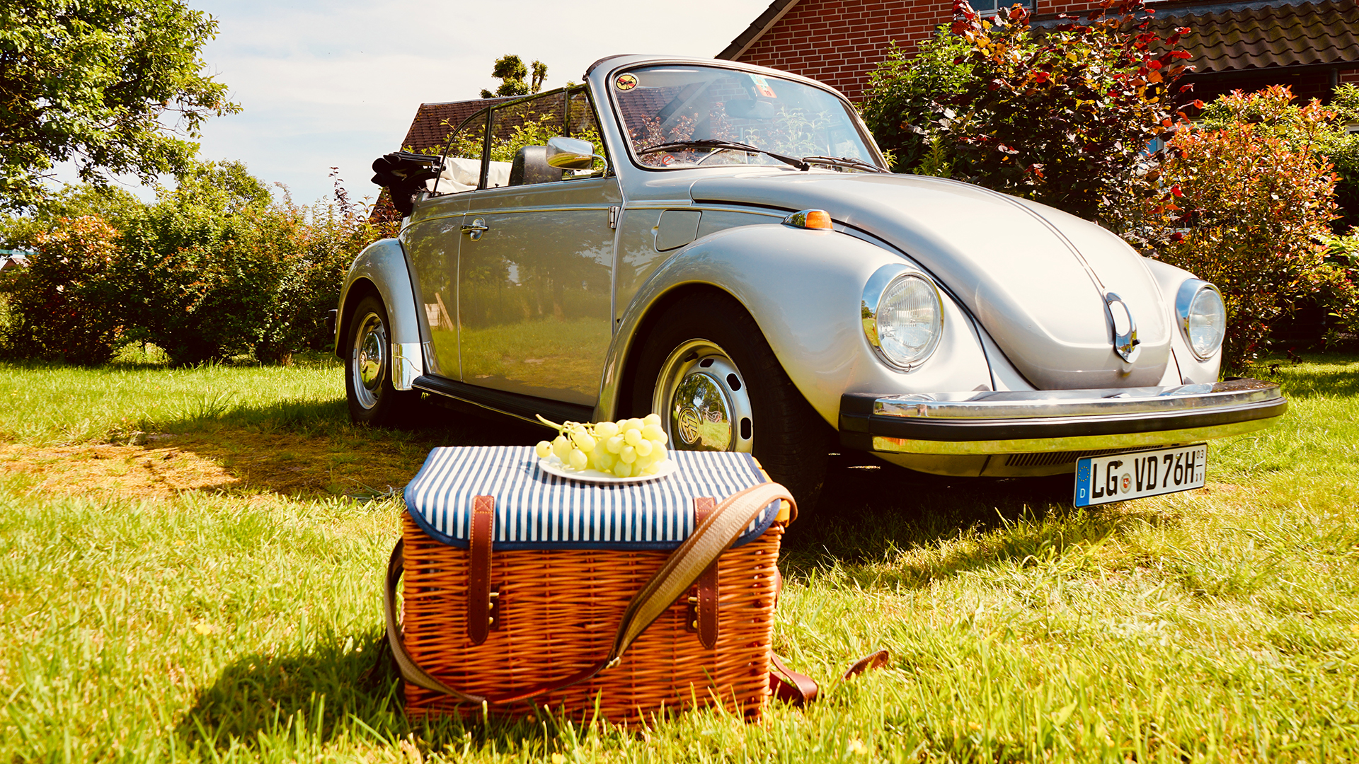 VW Käfer mieten mit Picknick Hamburg (8 Std.)