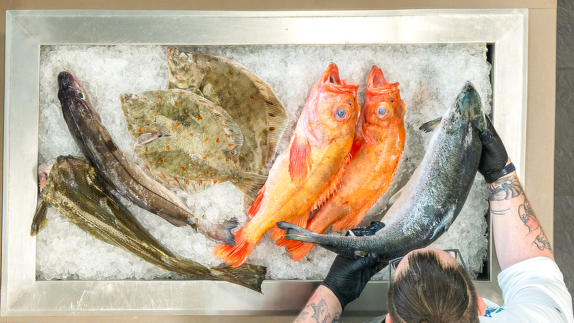 Kochshow Bremerhaven mit Fischbuffet