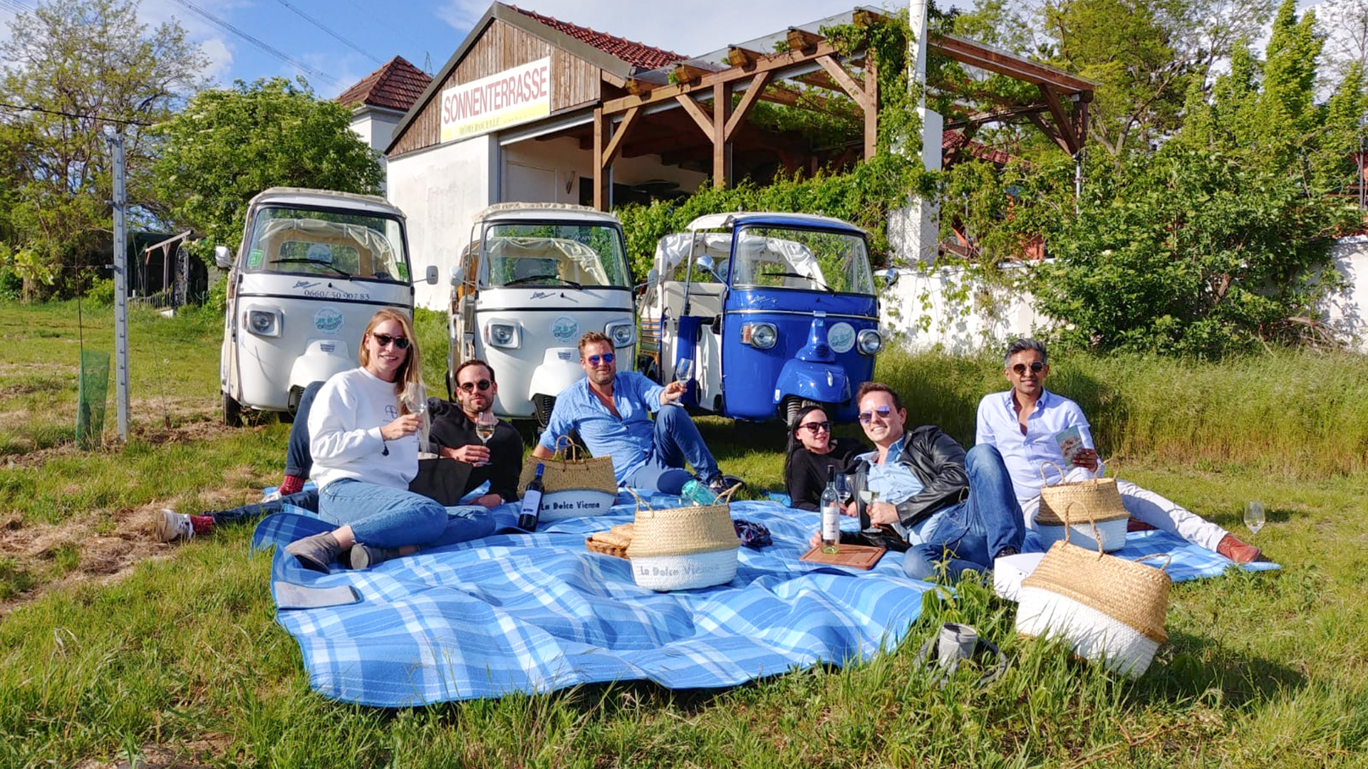 Sightseeing Tour Wien