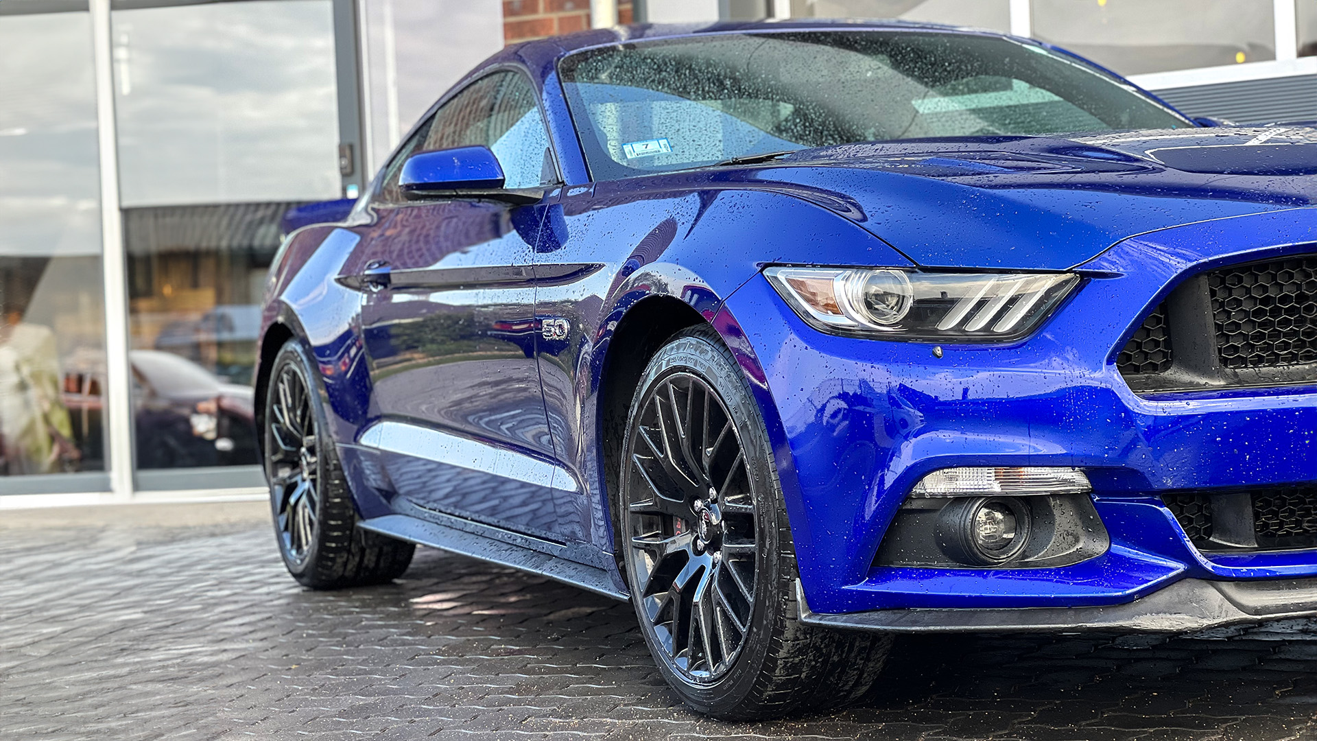 Ford Mustang Tagestour Osdorf