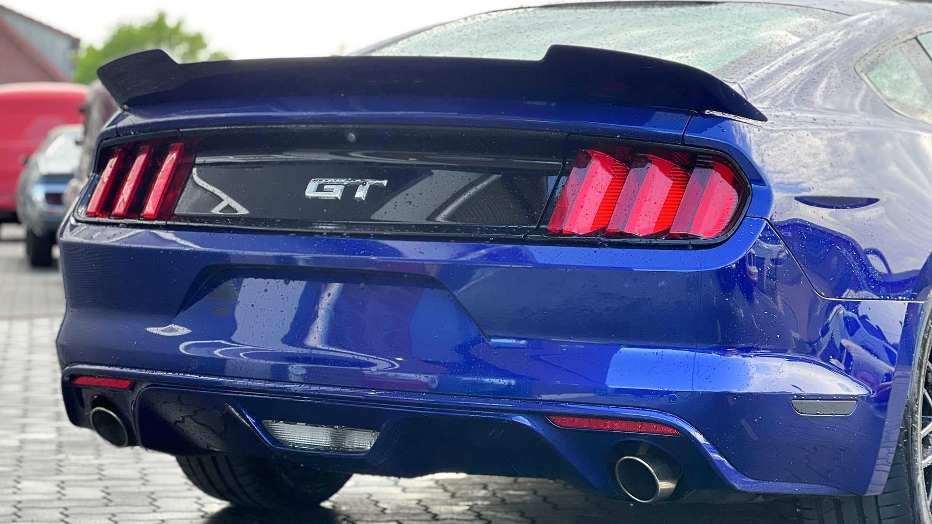 Ford Mustang Tagestour Wismar in Barnekow