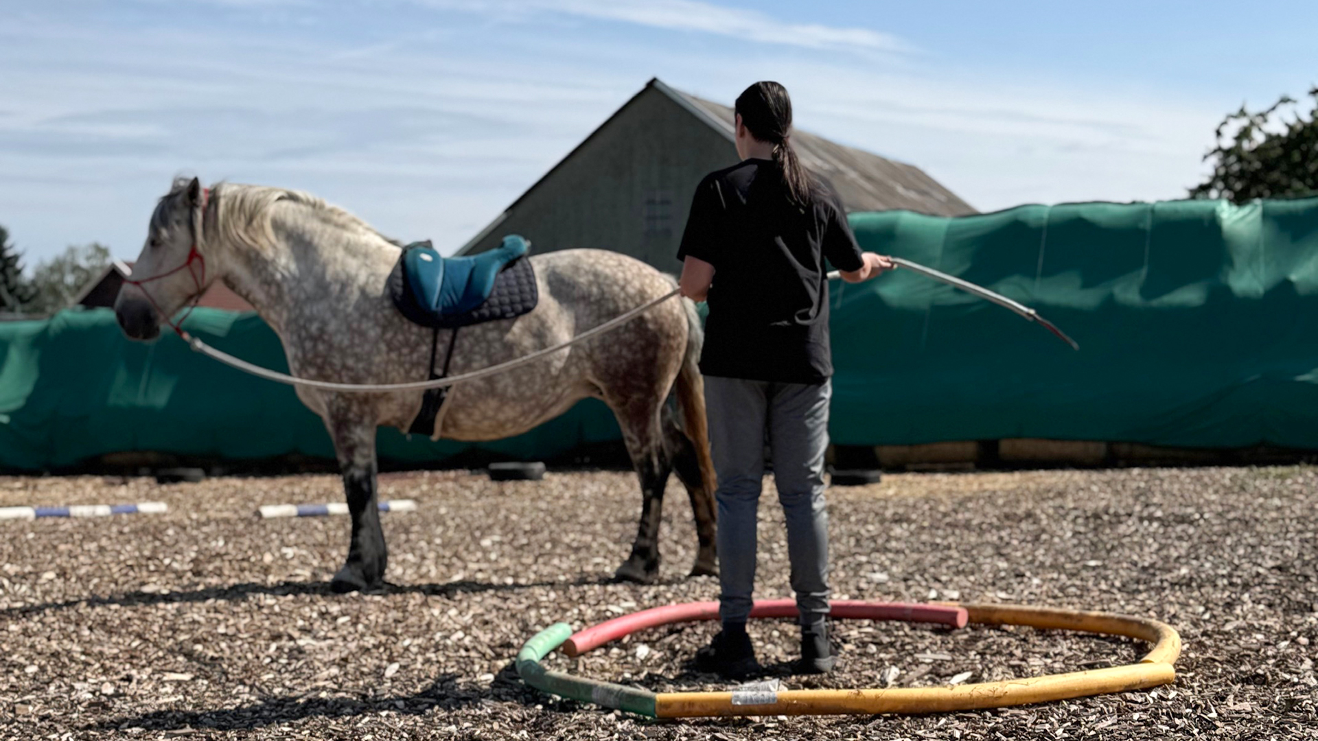Reitkurse Reiturlaub Pferdemessen und Reitturniere