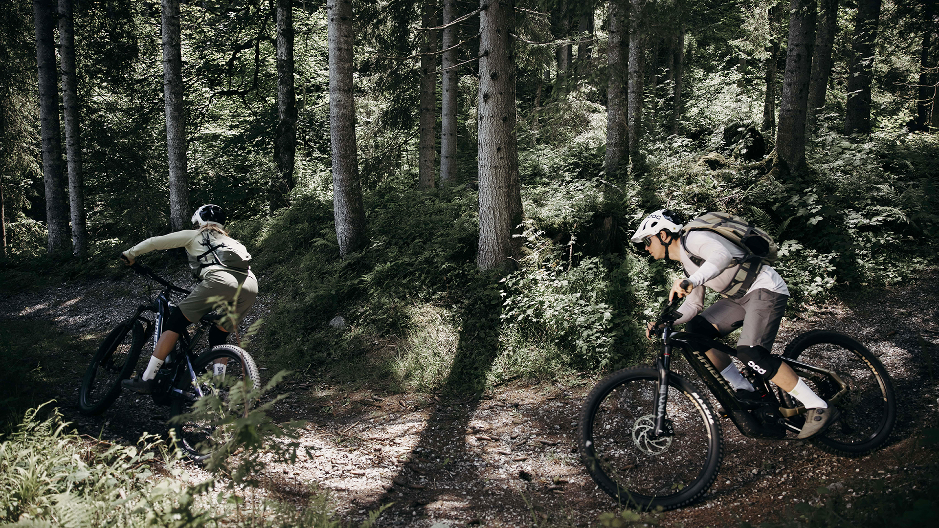 Aktivurlaub mit Hund in Flachau für 2 (1 Nacht)