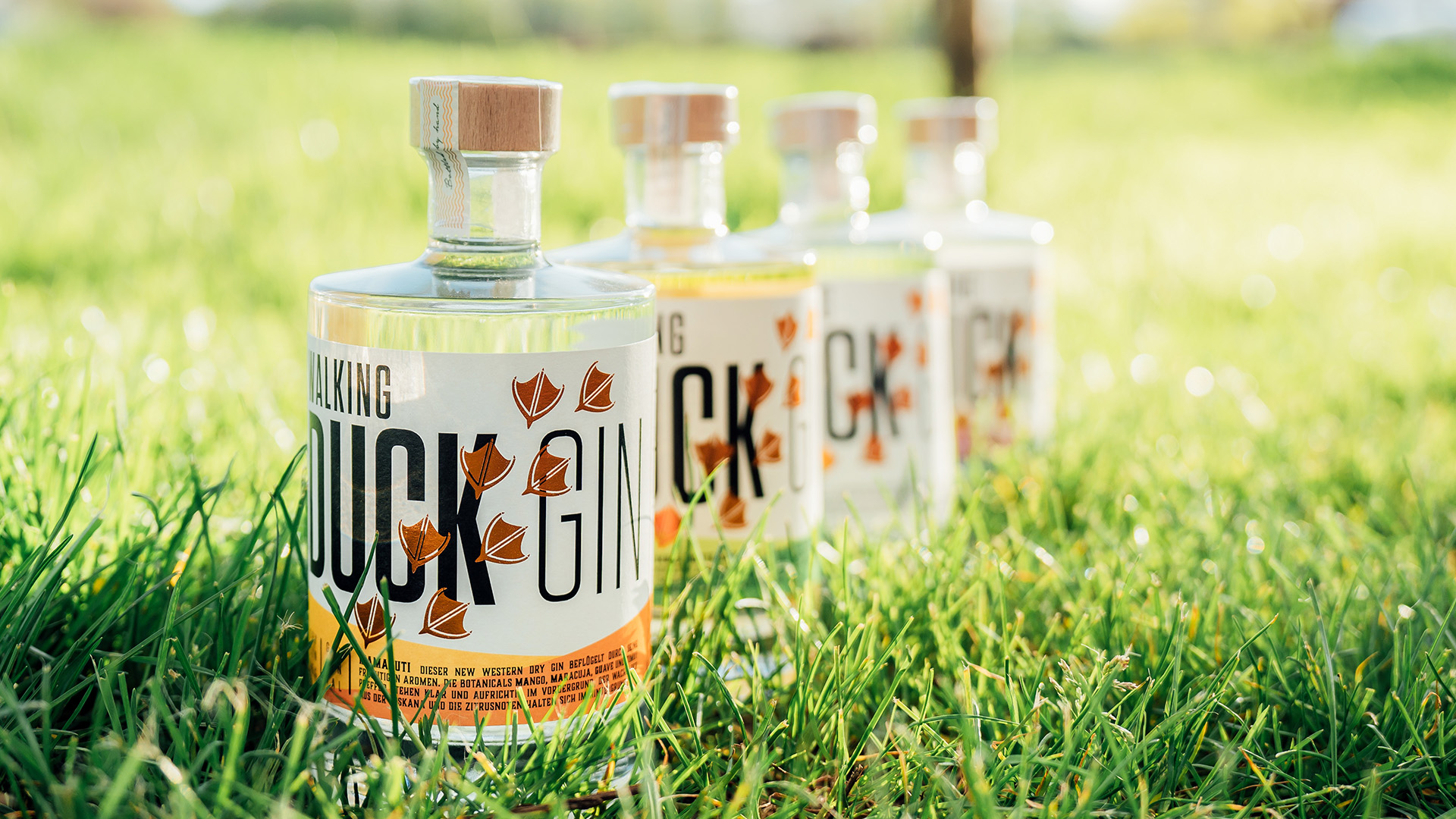 Gin Brennkurs mit 5-Gänge-Menü Guldental