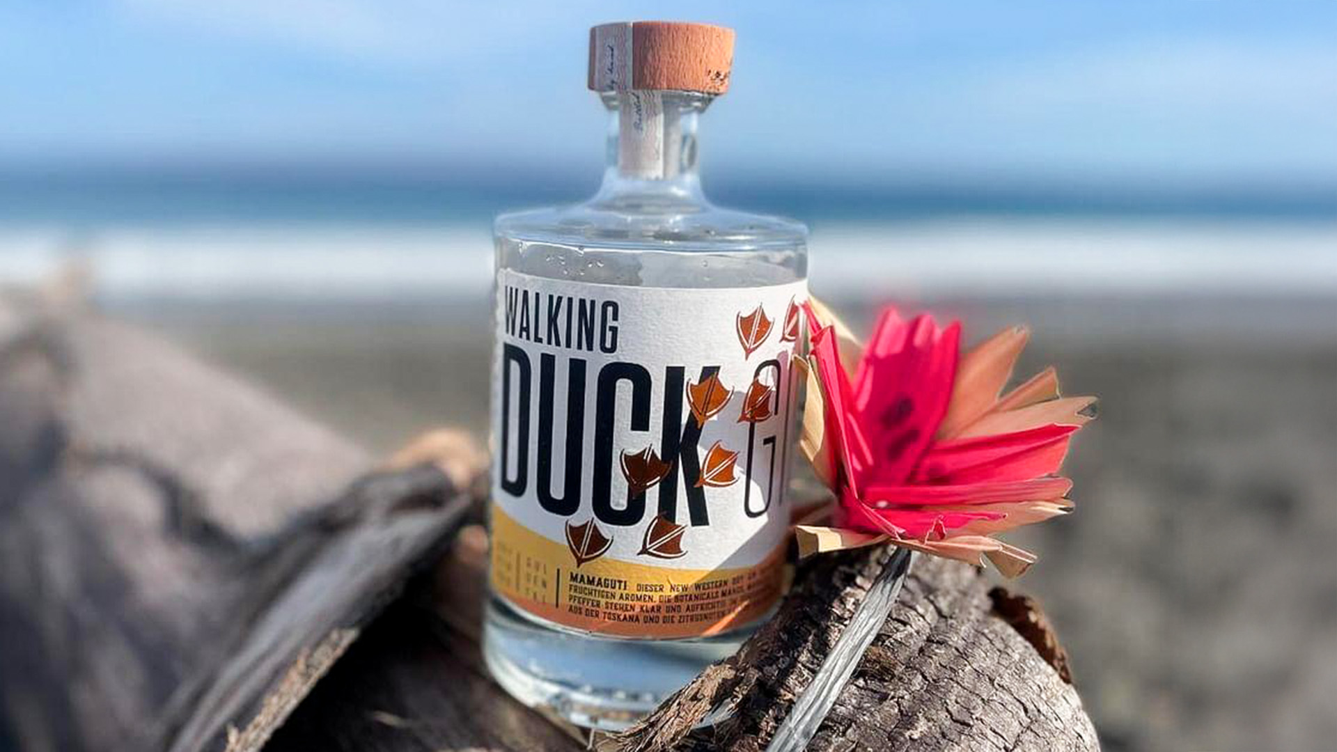 Tastings und Seminare