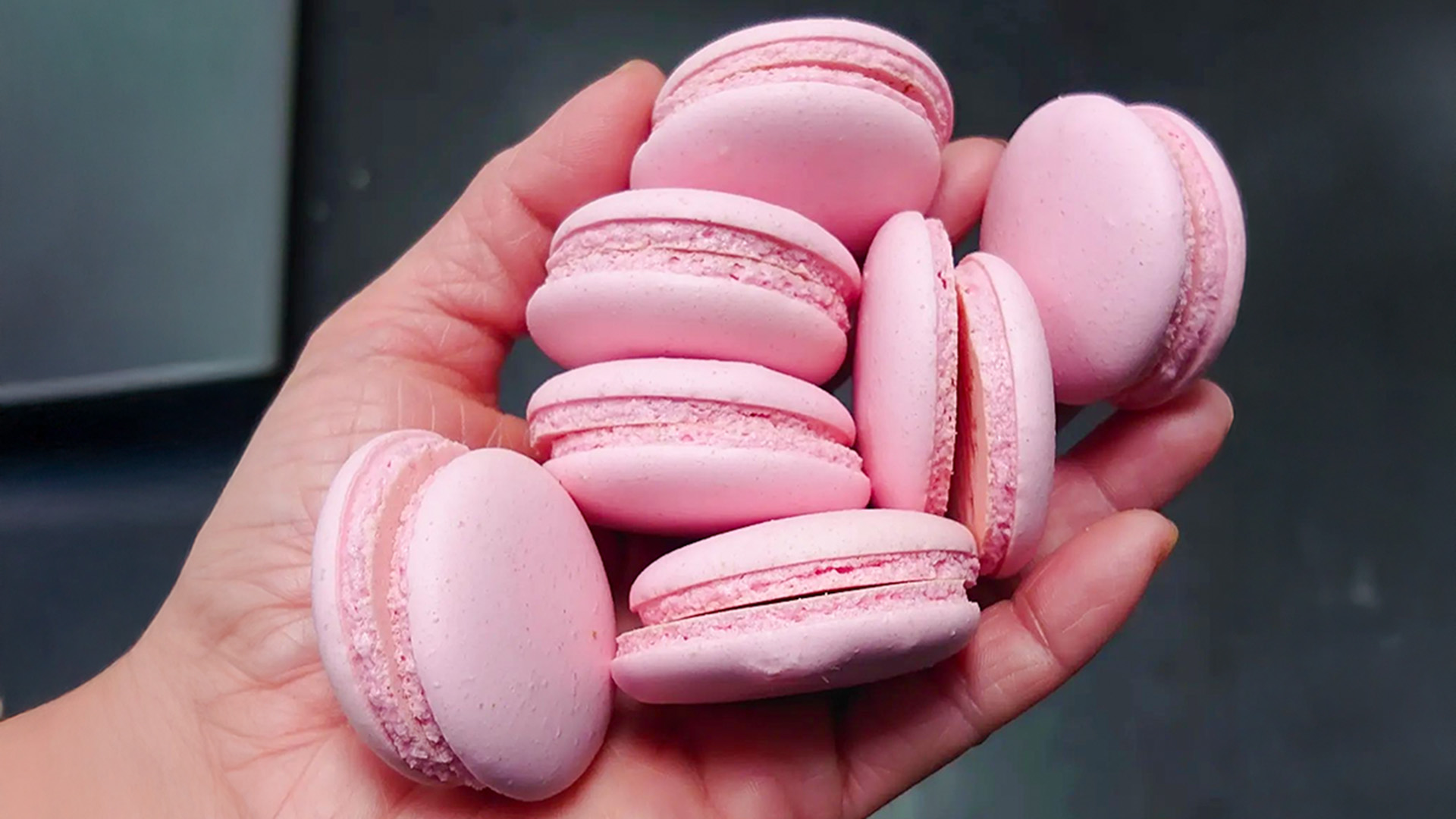 Macaron Backkurs Köln