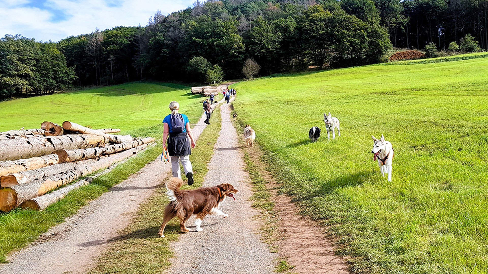 Geführte Wanderungen mit Hund – Wandern mit Wau-Effekt: Natur trifft Hundeglück in Bad Essen,Detmold,Georgsmarienhütte,Trendelburg,Hameln,Marsberg Geführte Wanderungen mit Hund – Wandern mit Wau-Effekt: Natur trifft Hundeglück in Bad Essen,Detmold,Georgsmarienhütte,Trendelburg,Hameln,Marsberg