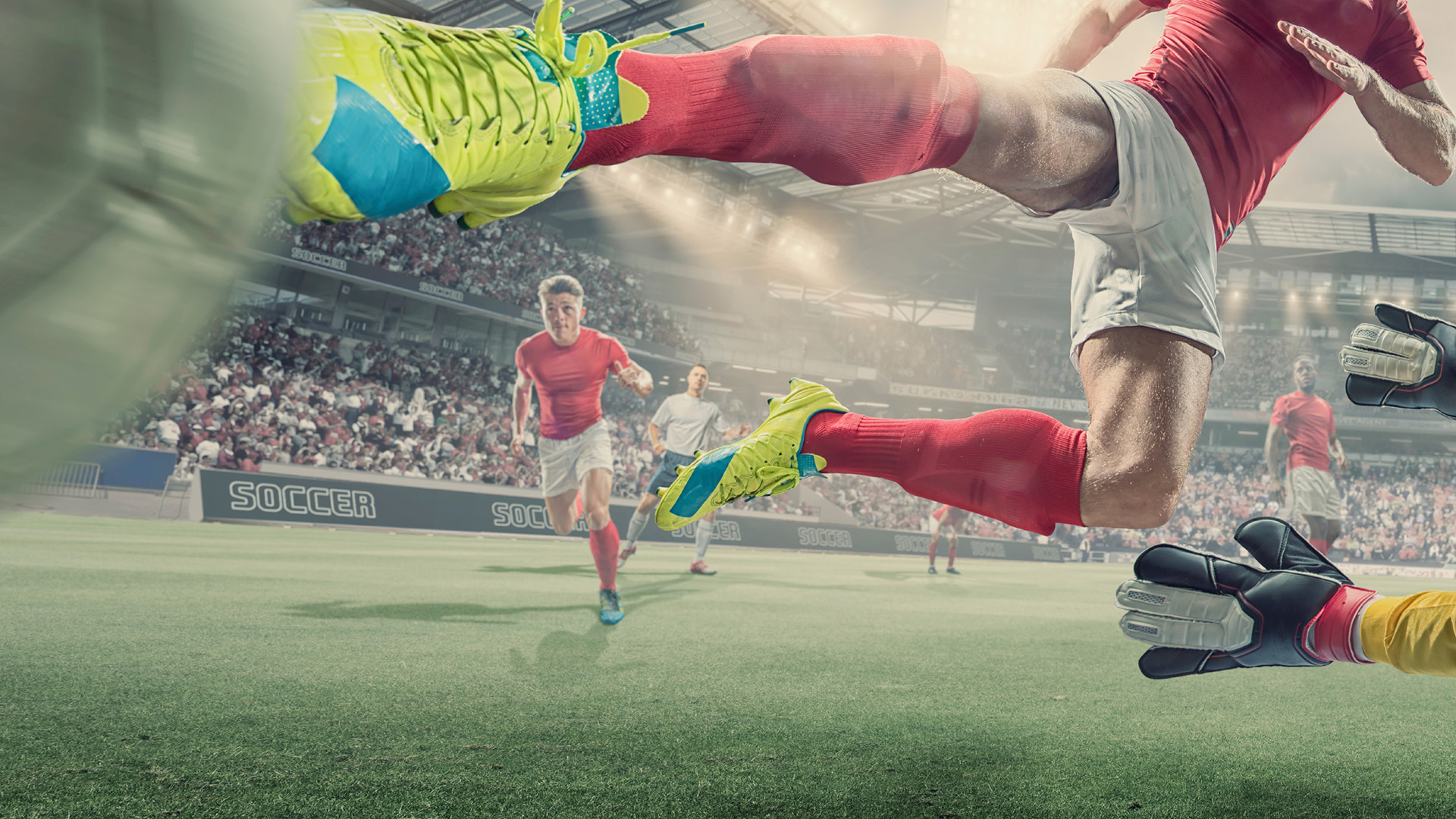 Stadtführungen Stadtrundfahrten Sightseeing und Bustouren