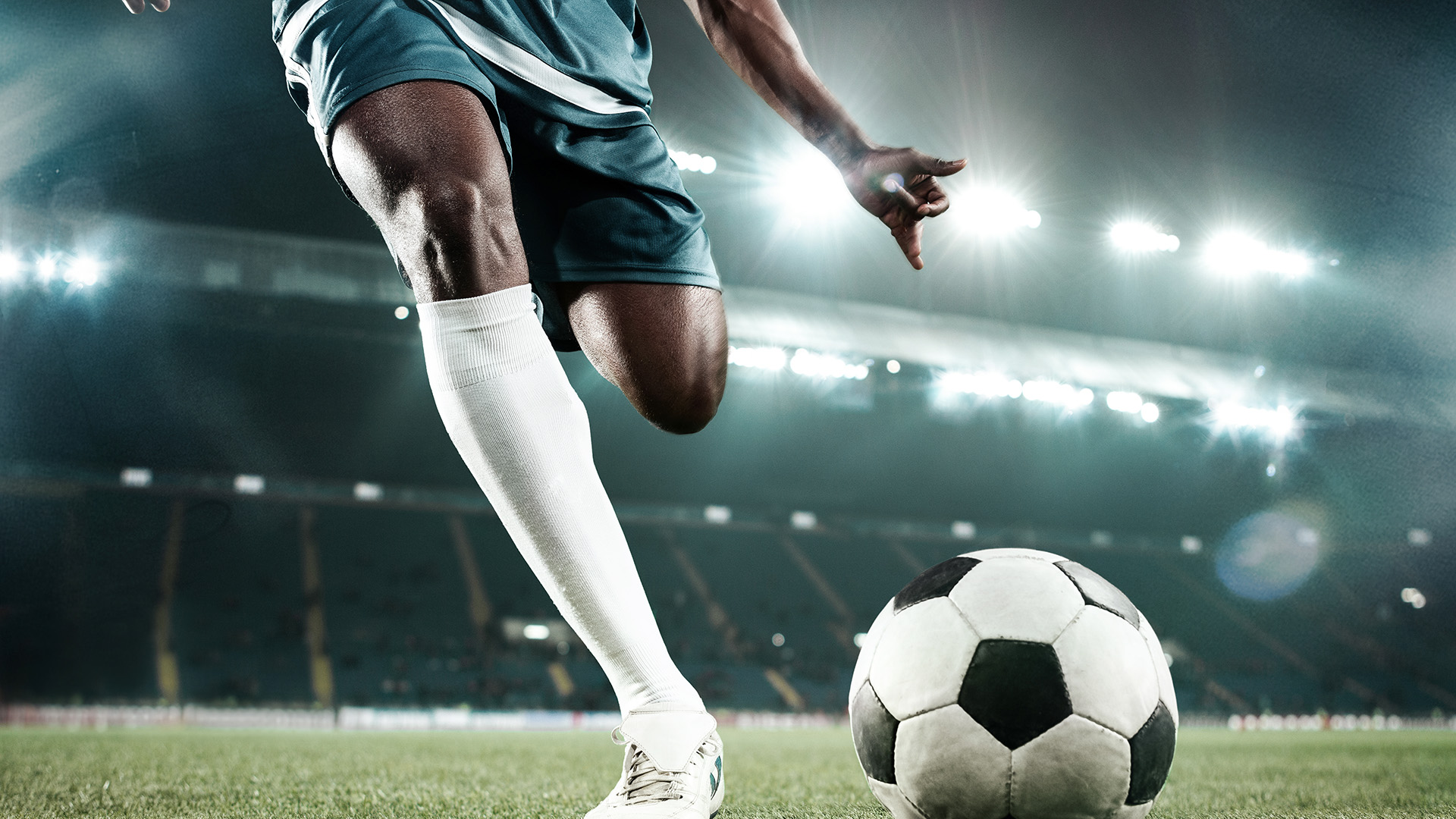 Ausstellungen Museen und Messen