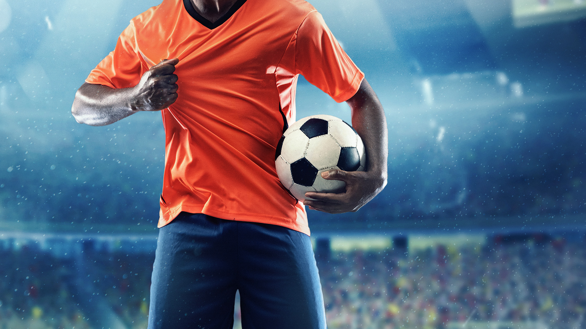 Ausstellungen Museen und Messen