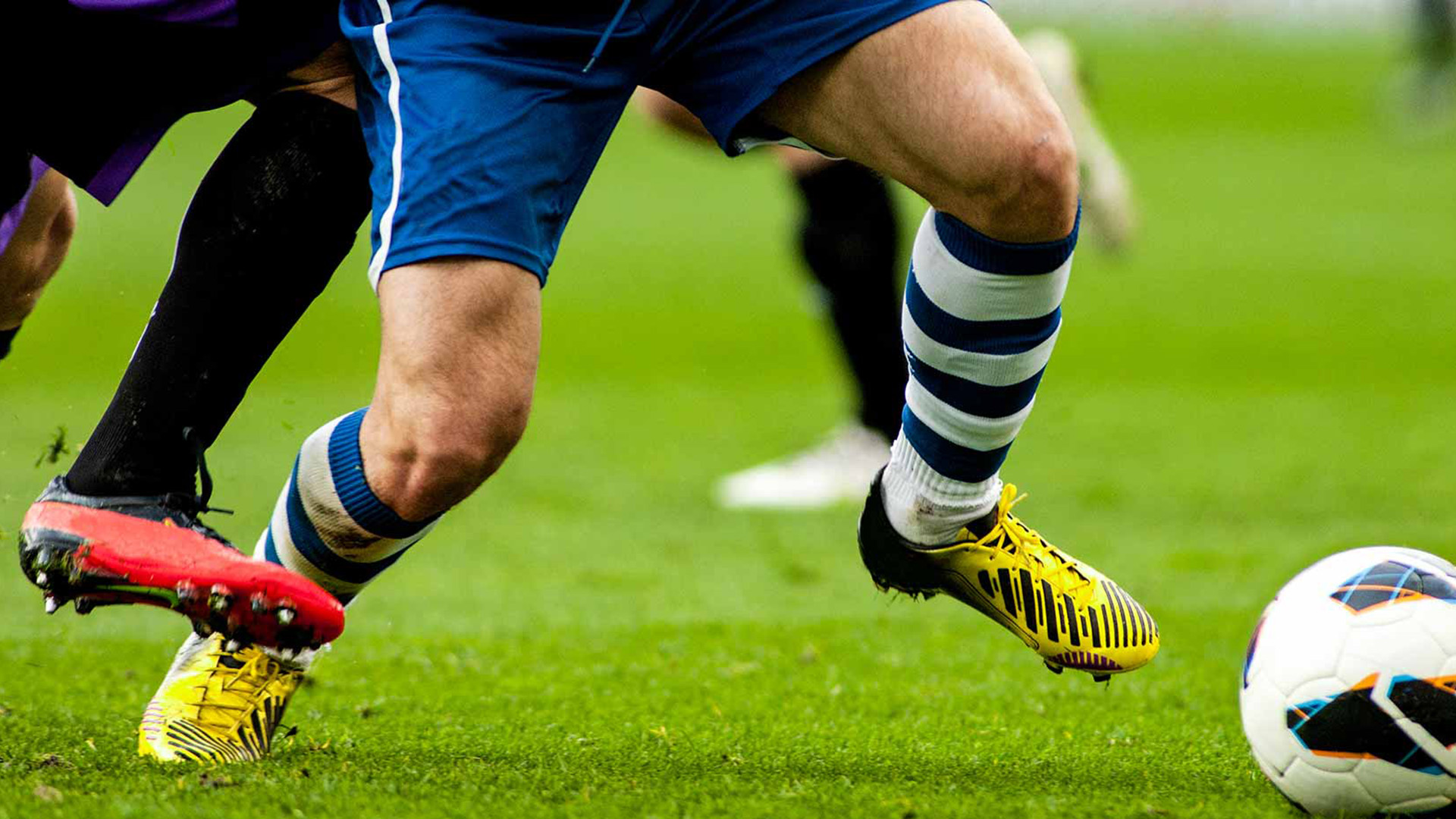 Ausstellungen Museen und Messen