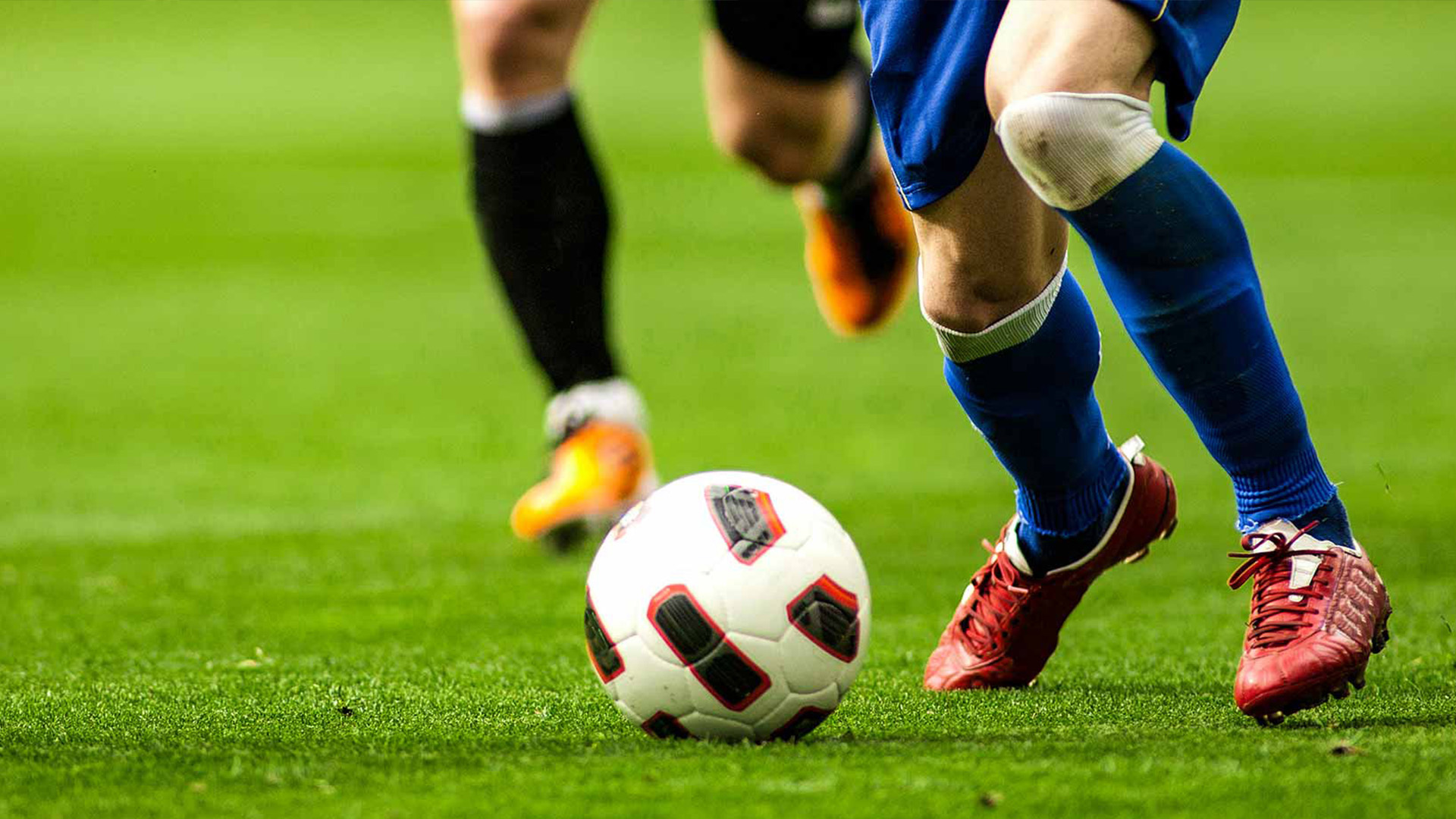 Ausstellungen Museen und Messen