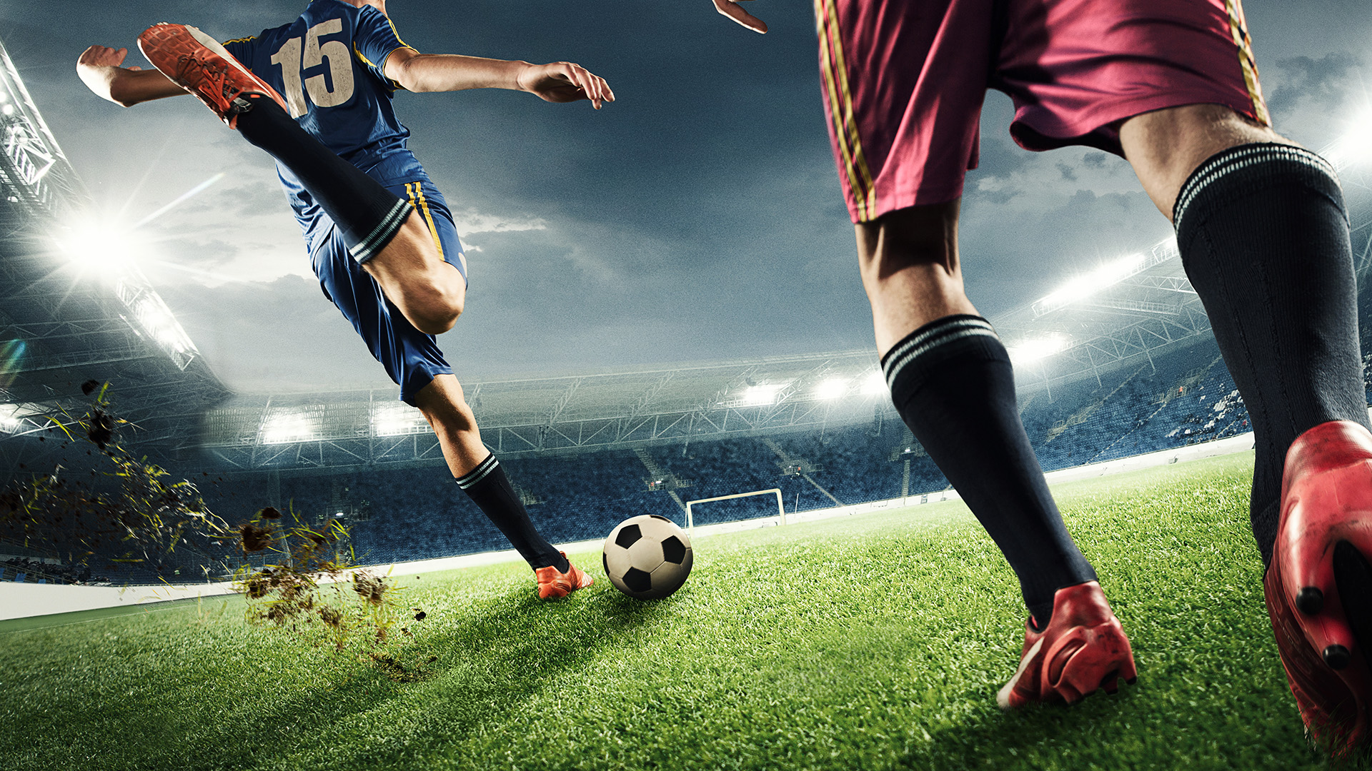 Ausstellungen Museen und Messen