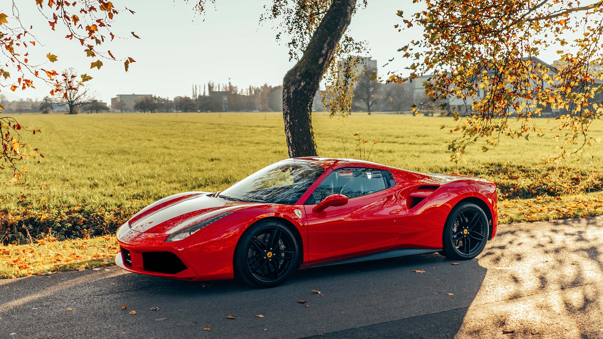 Ferrari fahren (12 Std.) in Widnau