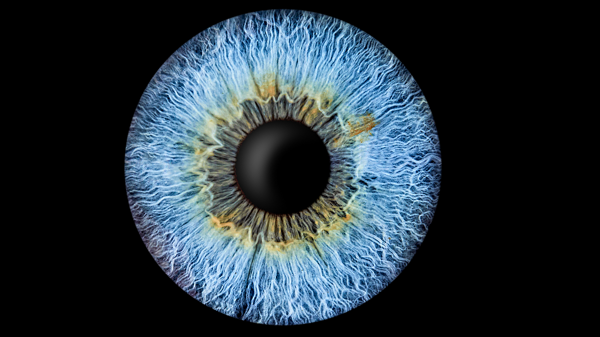 Iris Fotografie Haßfurt