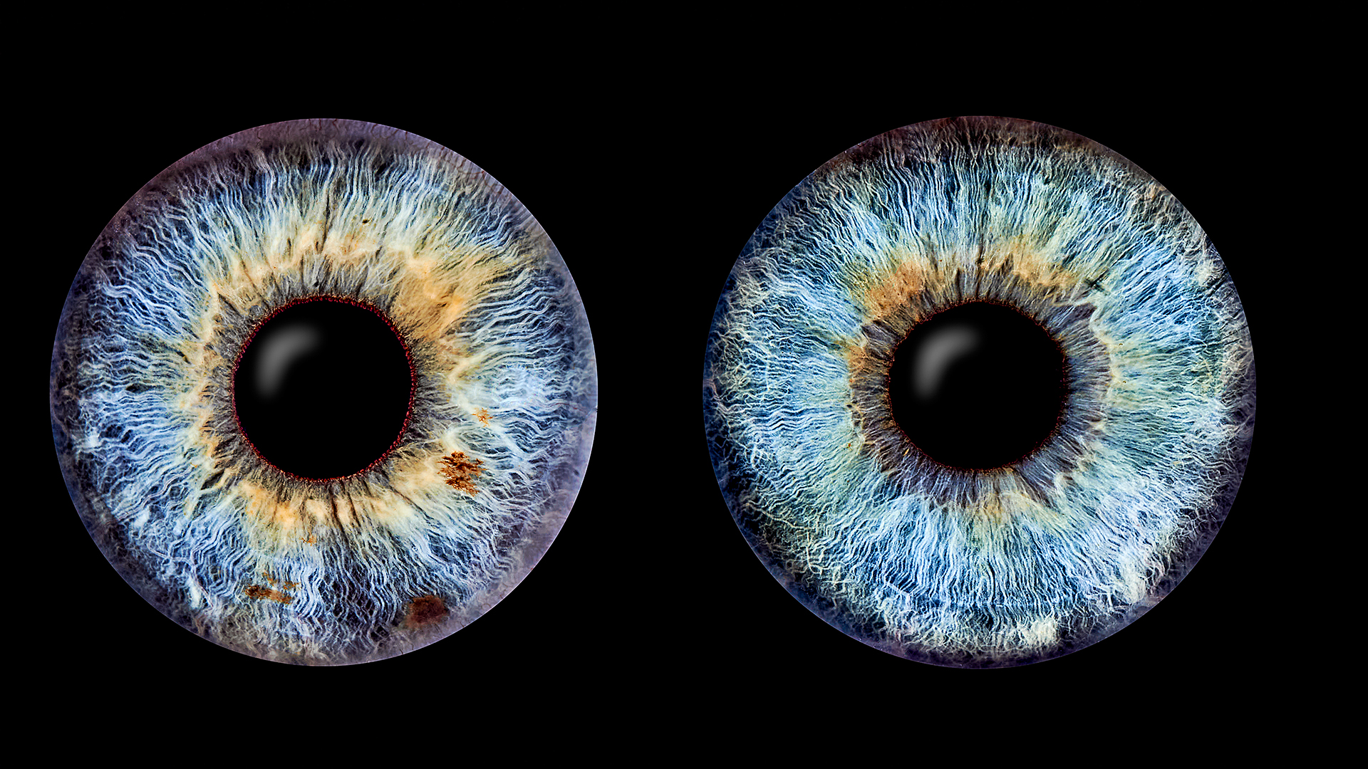 Iris Fotografie für 2 Haßfurt – Eure Augen als Kunstwerk – Irisfotografie erleben!