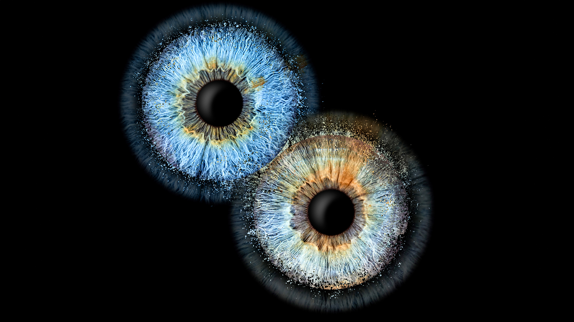Iris Fotografie Fusion für 2 Haßfurt