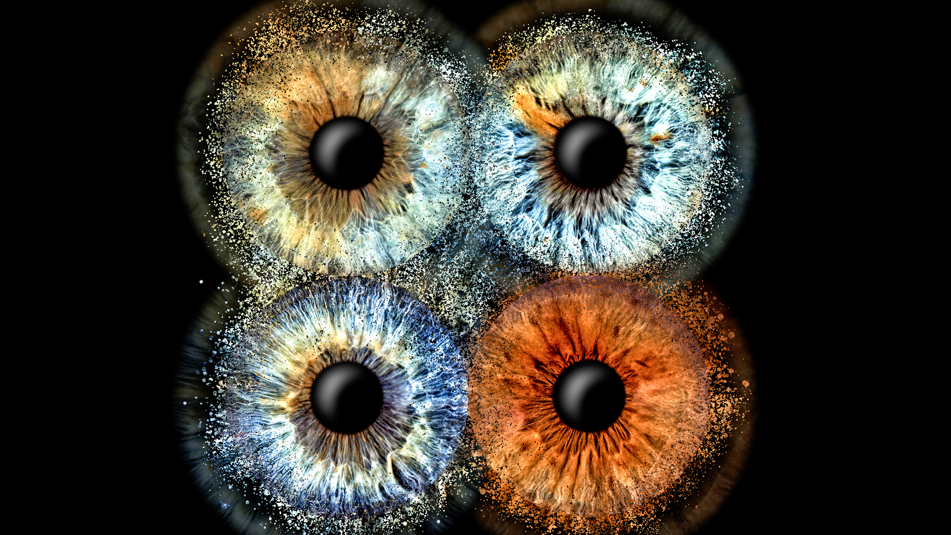 Irisfotografie Familie Haßfurt