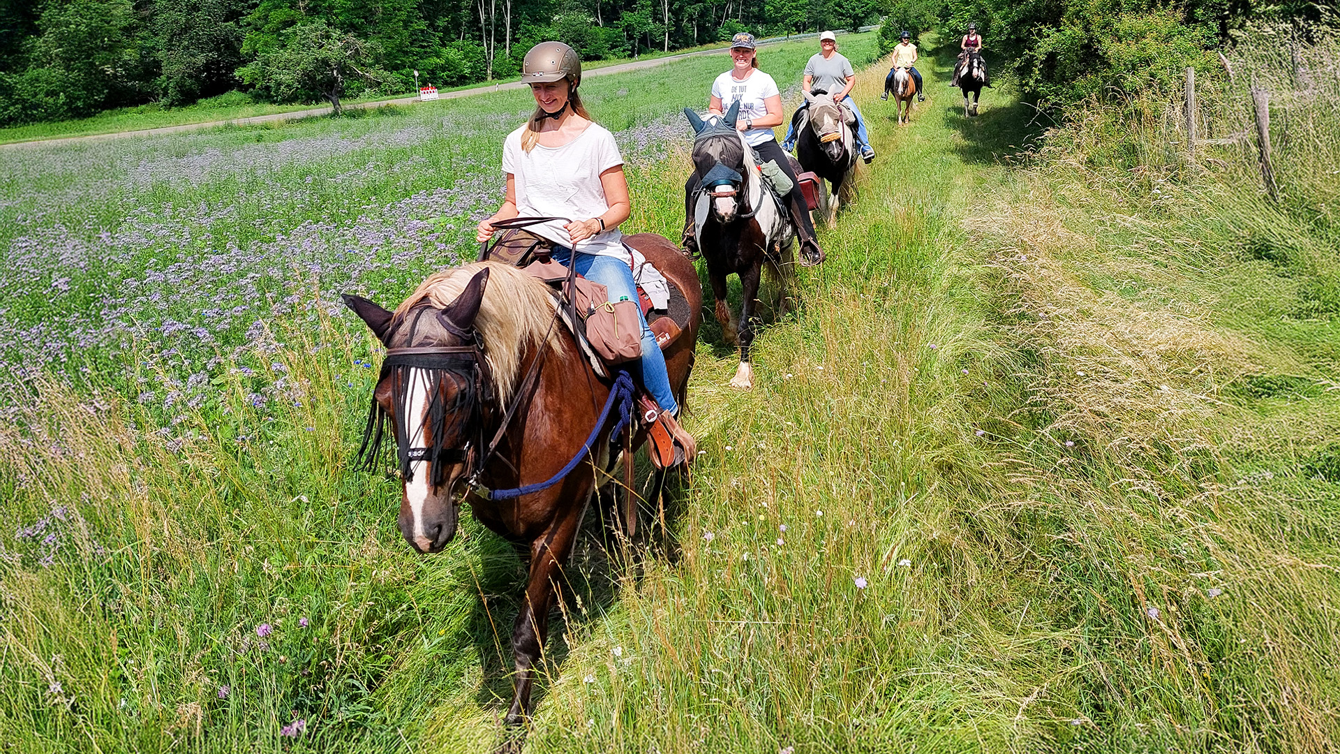 Wanderreiten mit Picknick Weiler bei Monzingen