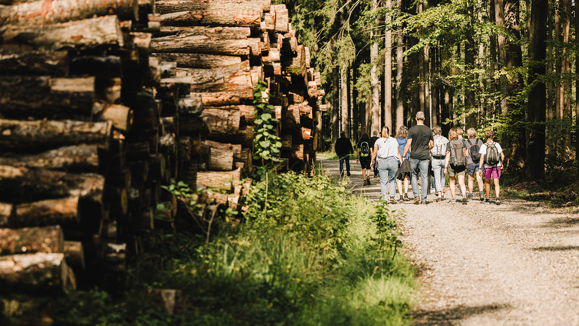 Quizwanderung Überwald Grasellenbach – Jetzt erleben! Quizwanderung Überwald Grasellenbach – Jetzt erleben!
