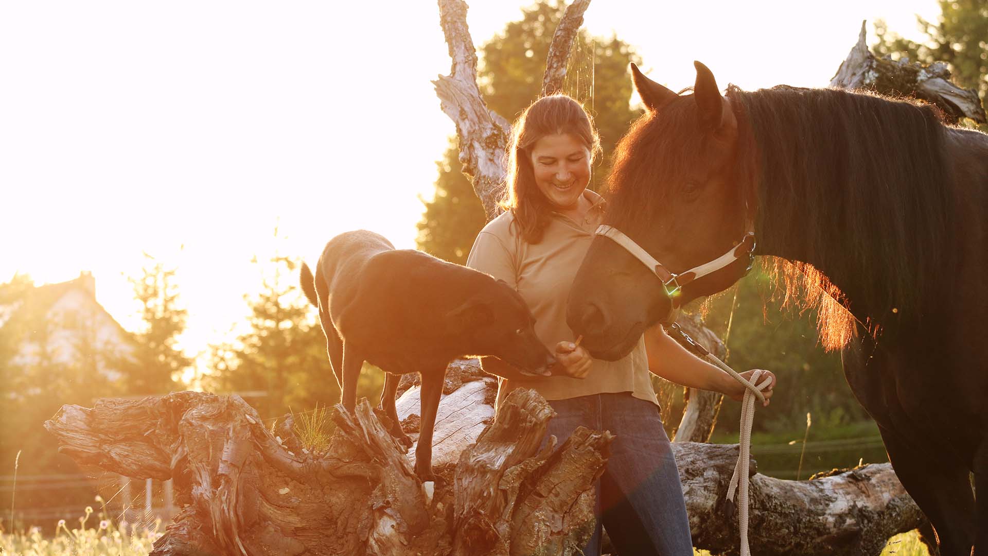 Eins sein mit der Pferdeherde Emmingen-Liptingen – Eins werden mit Pferden – ganz ohne Reiten Eins sein mit der Pferdeherde Emmingen-Liptingen – Eins werden mit Pferden – ganz ohne Reiten