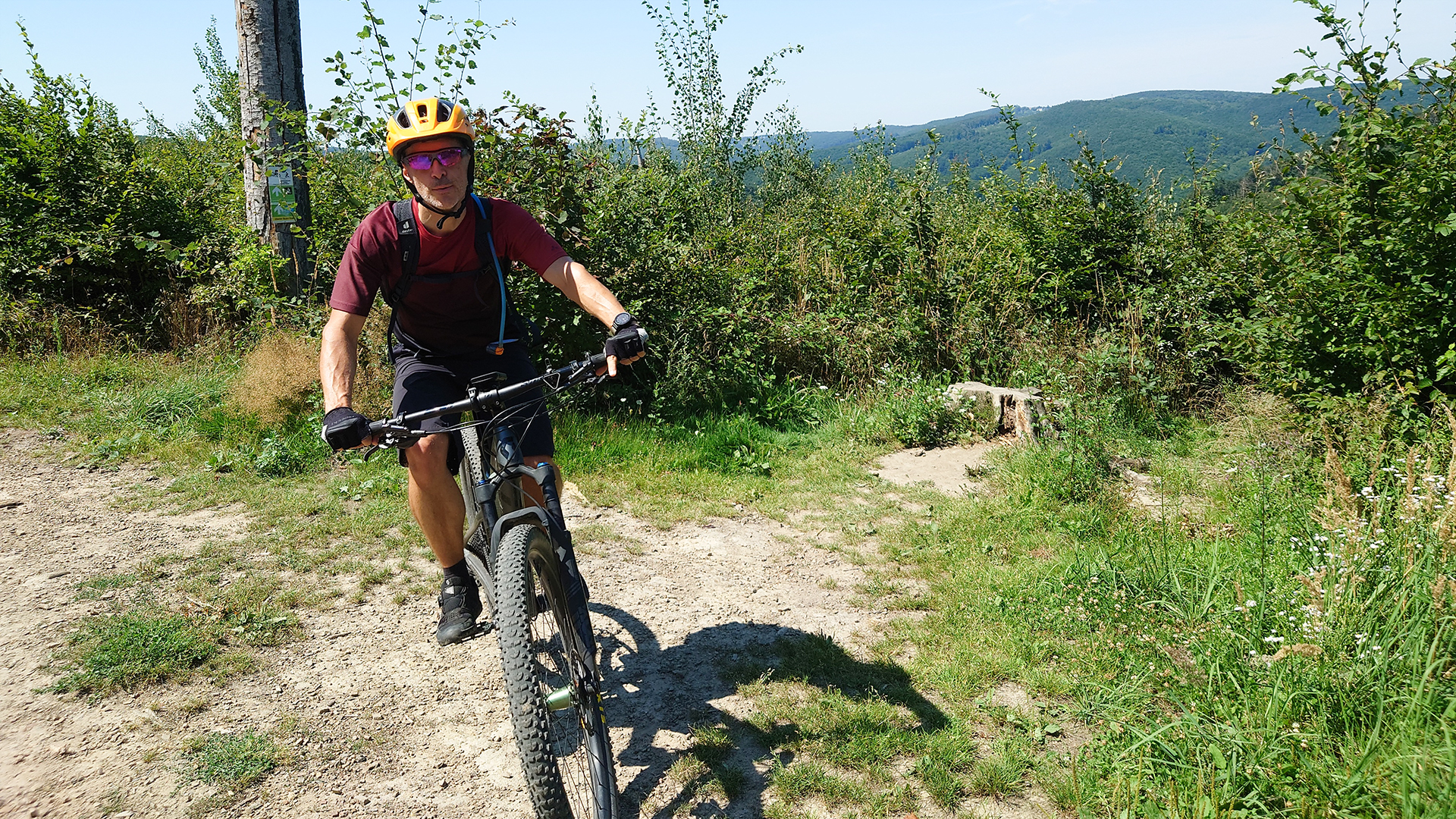 E-Mountainbike Tour Wien (4 Std.)