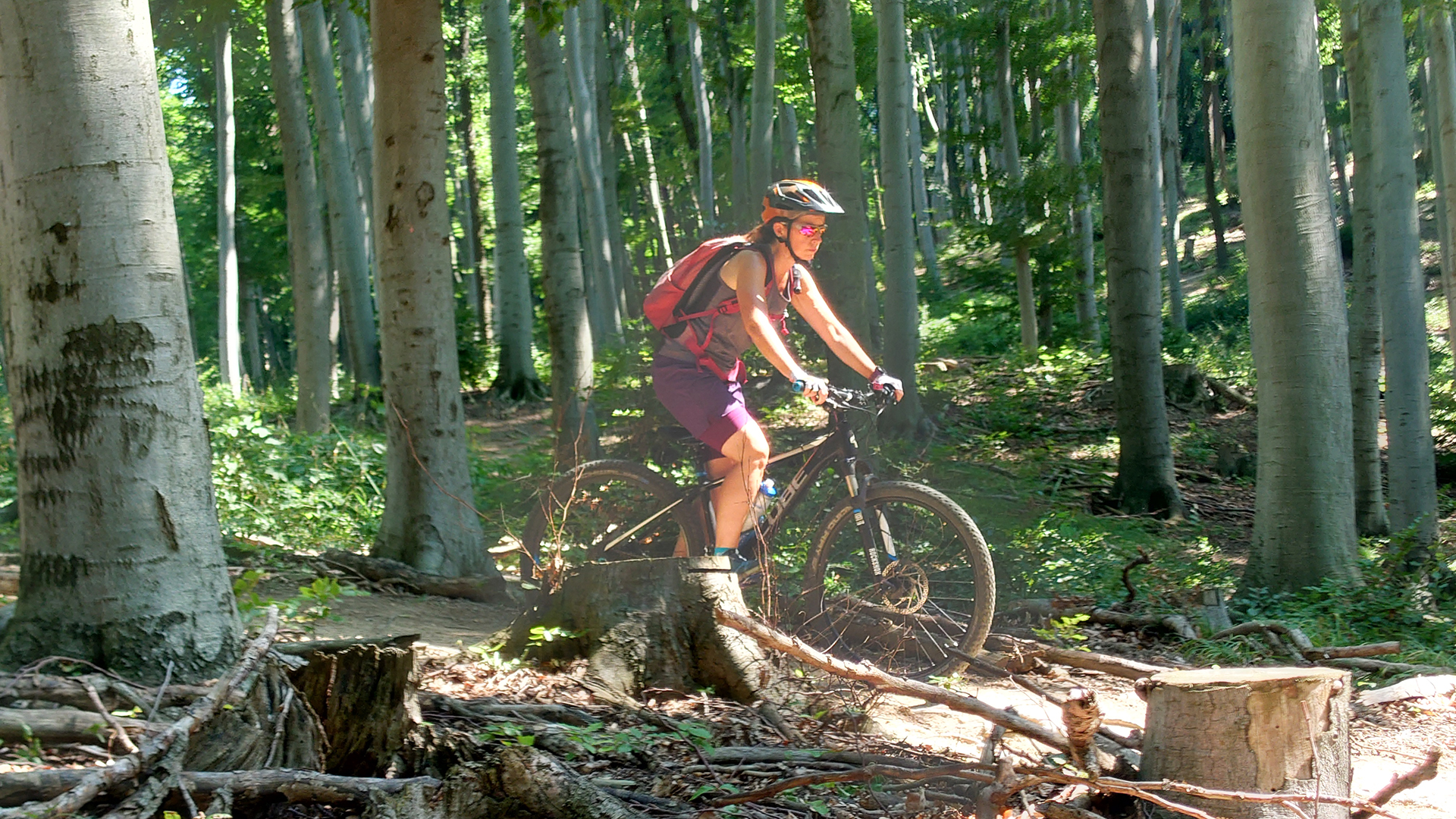 Radsport-Touren und -Kurse