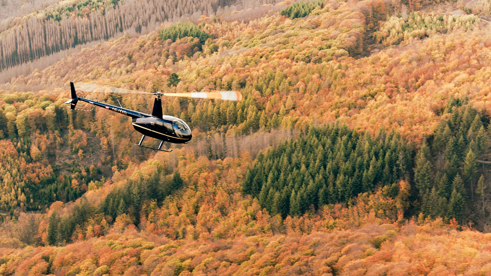 Hubschrauber Rundflug Österreich (30 Min.) - Österreich von oben: Dein himmlisches Abenteuer beginnt! in Stockerau,Zell am See,Timmersdorf,Feldkirch und weitere Orte!