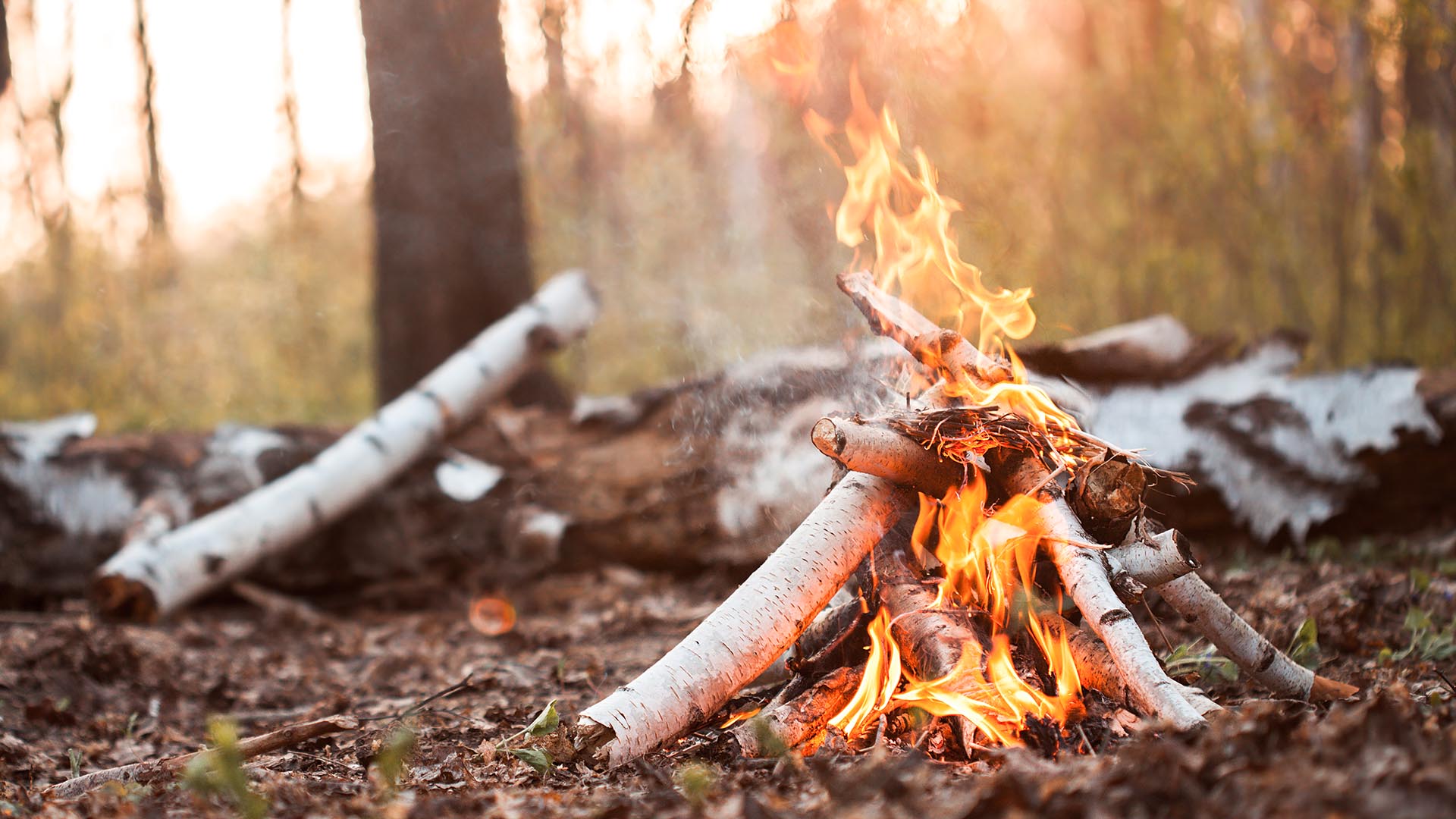 Wildnis JGA (2 Tage) Raum Nürburg in Kesseling